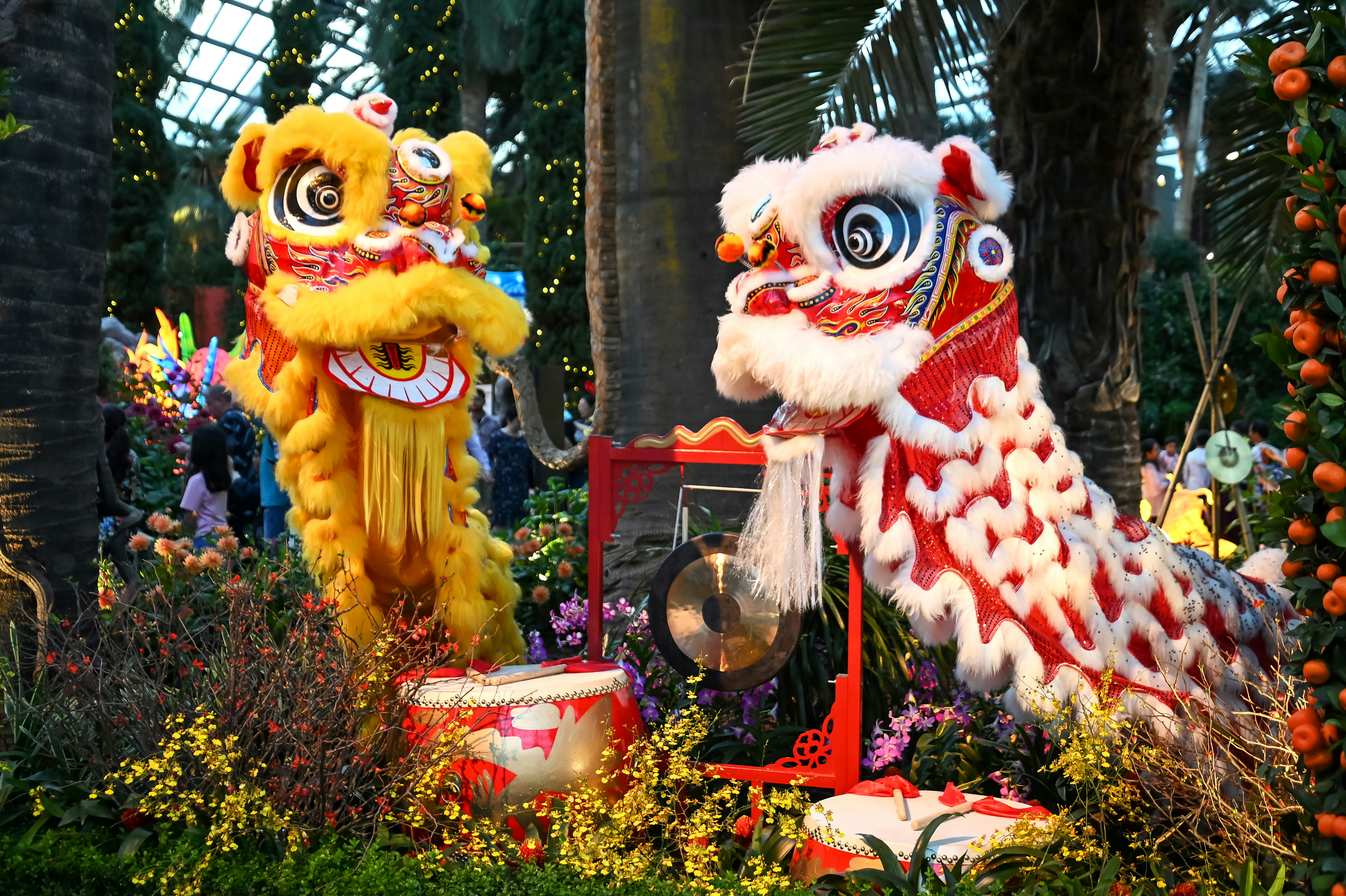 Lion dance display at Gardens by the Bay, Singapore, to welcome Lunar New Year 2024.