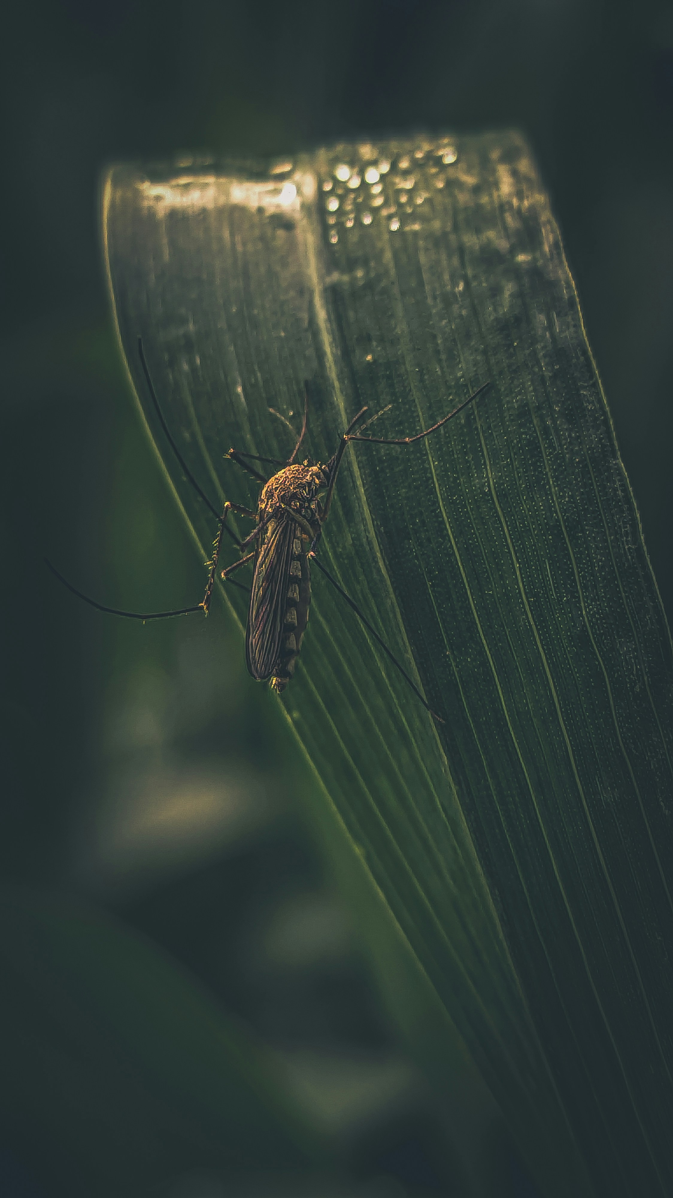 Photo by amanmaurya_117