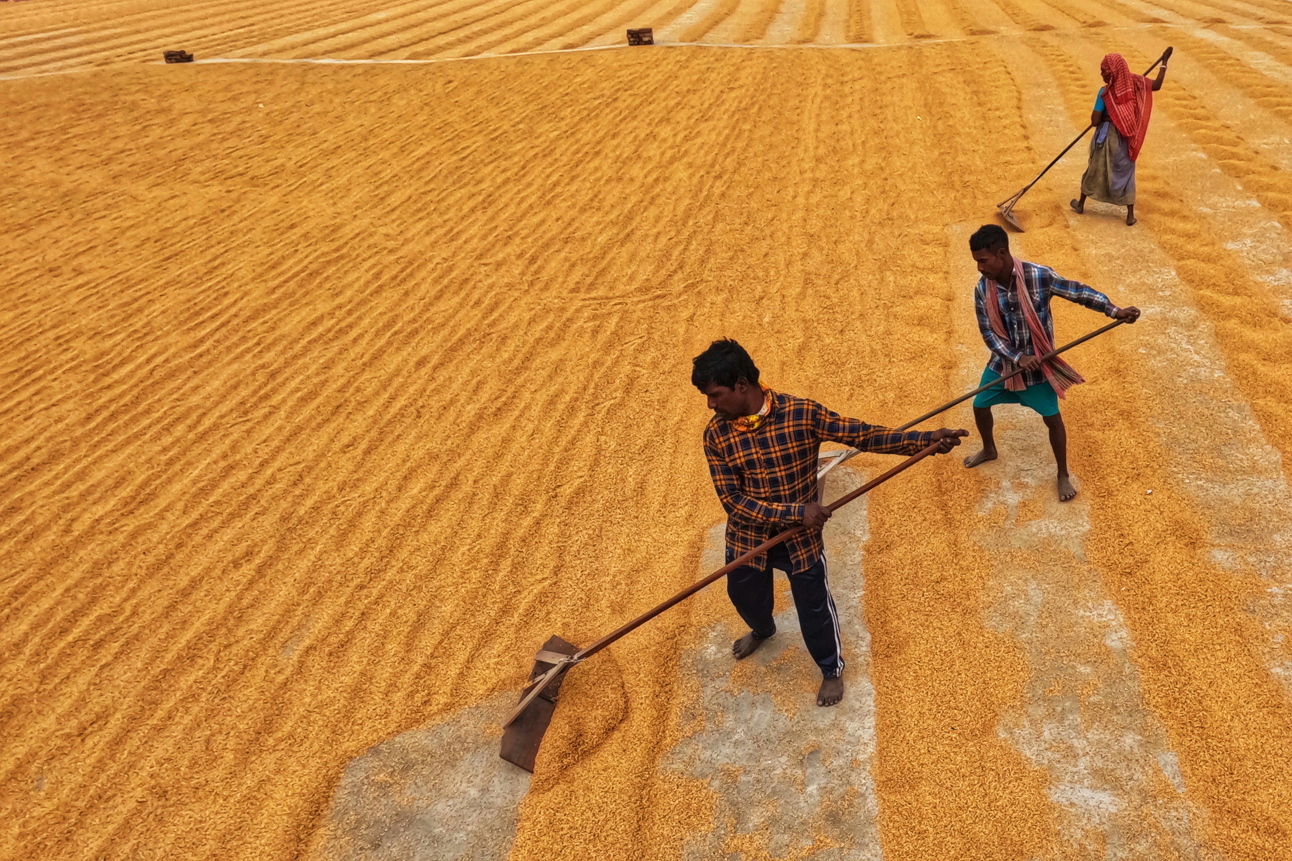 Photo by dibakar16roy