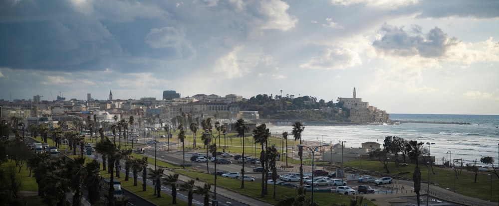 a view of a beach with a city in the background