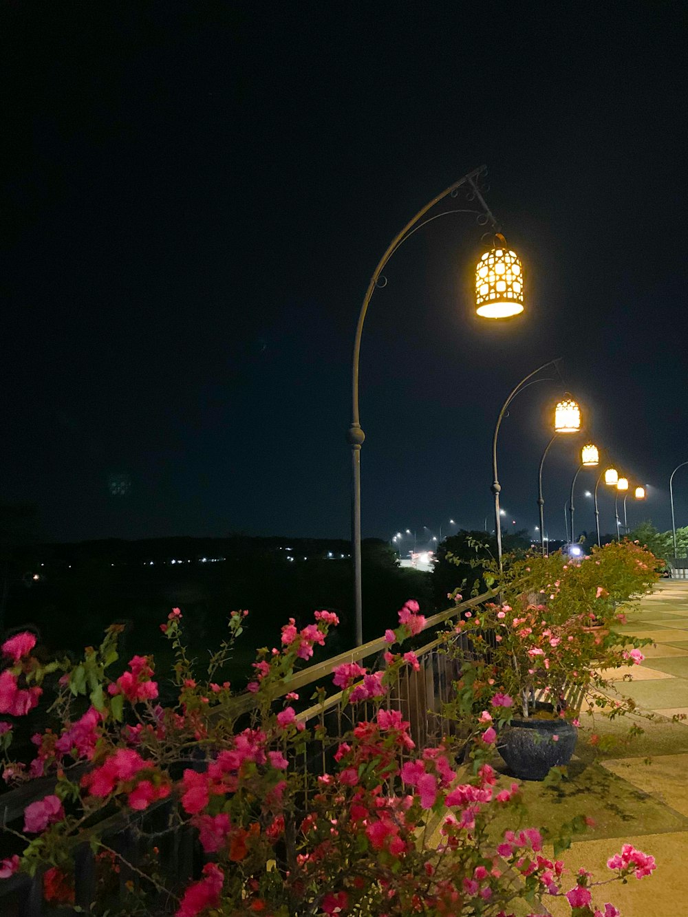 a bunch of flowers that are by a street light