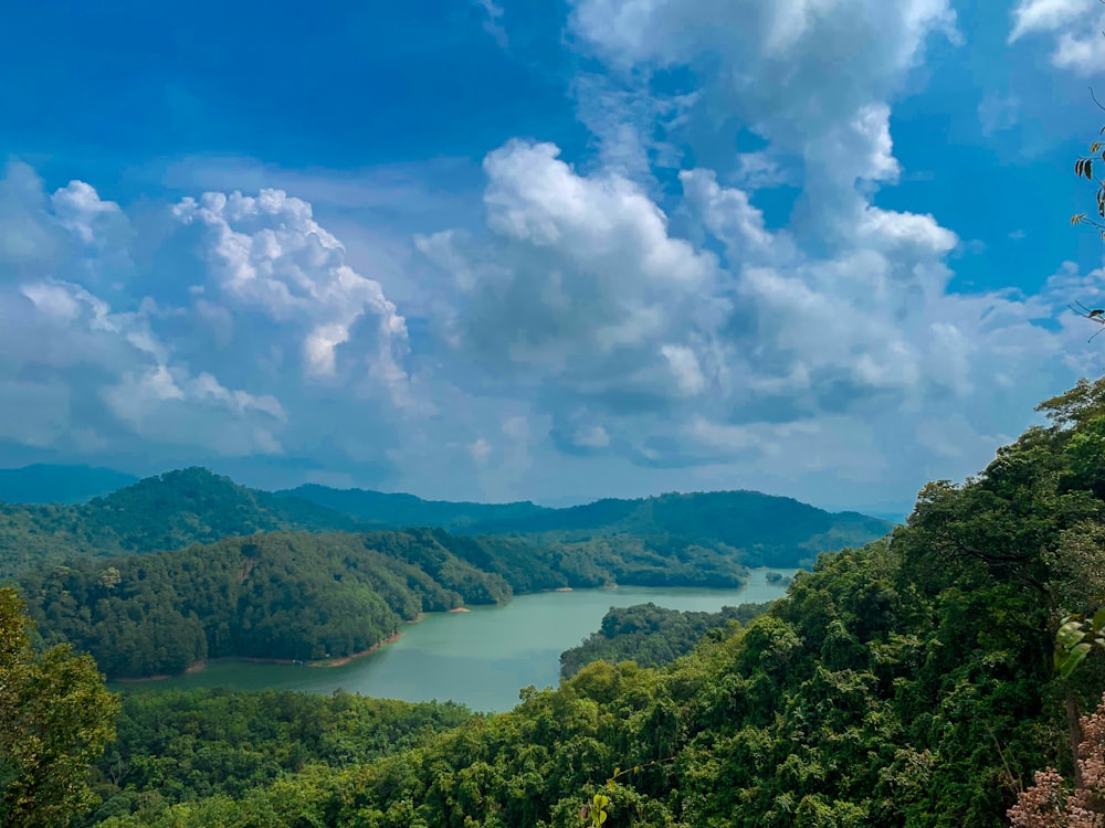 a scenic view of a lake surrounded by trees