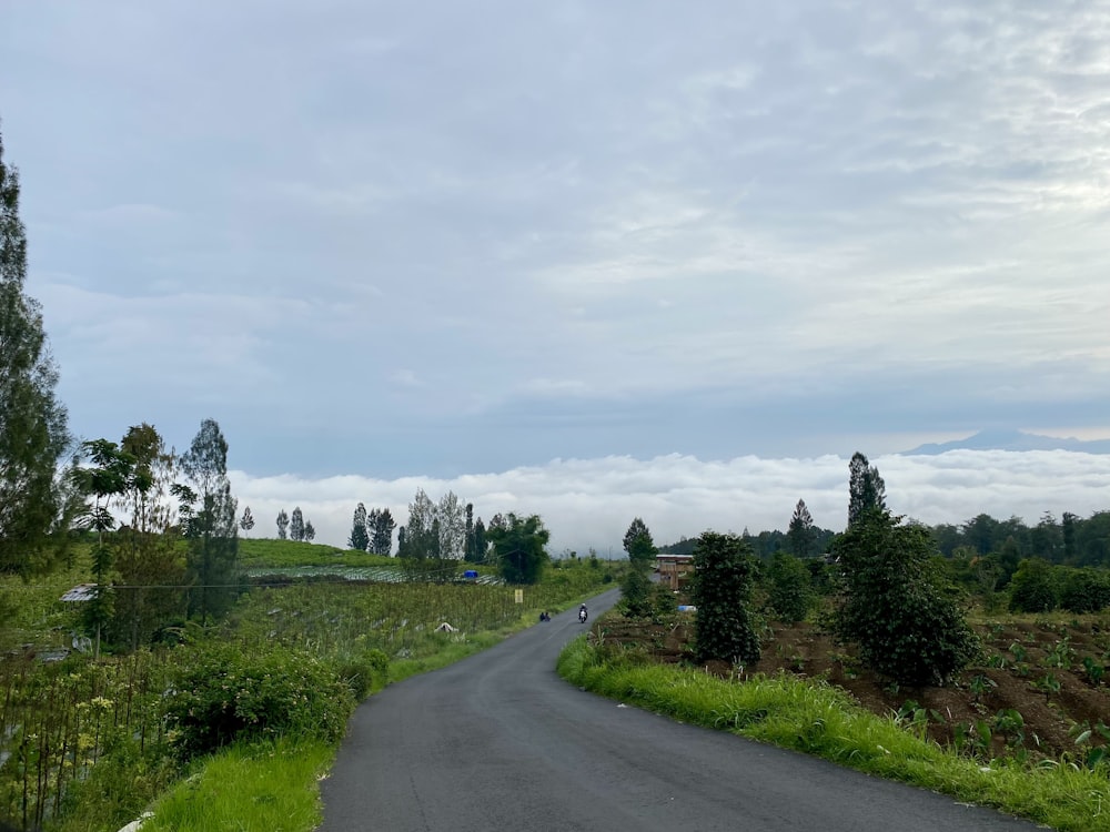 a paved road in the middle of a lush green field