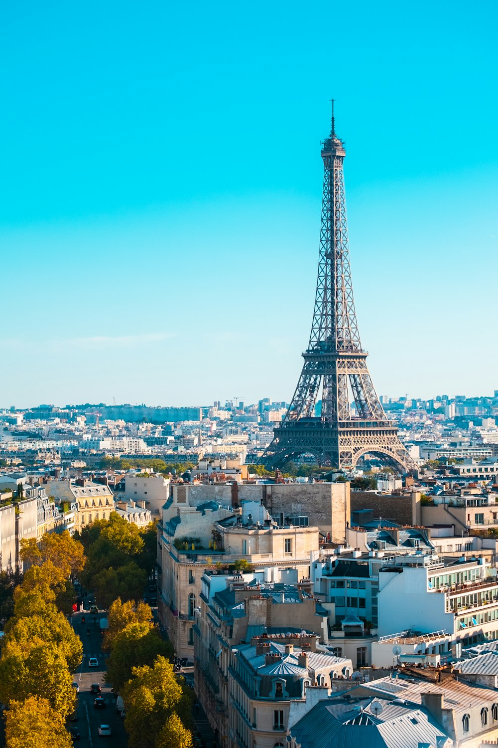 the eiffel tower towering over the city of paris