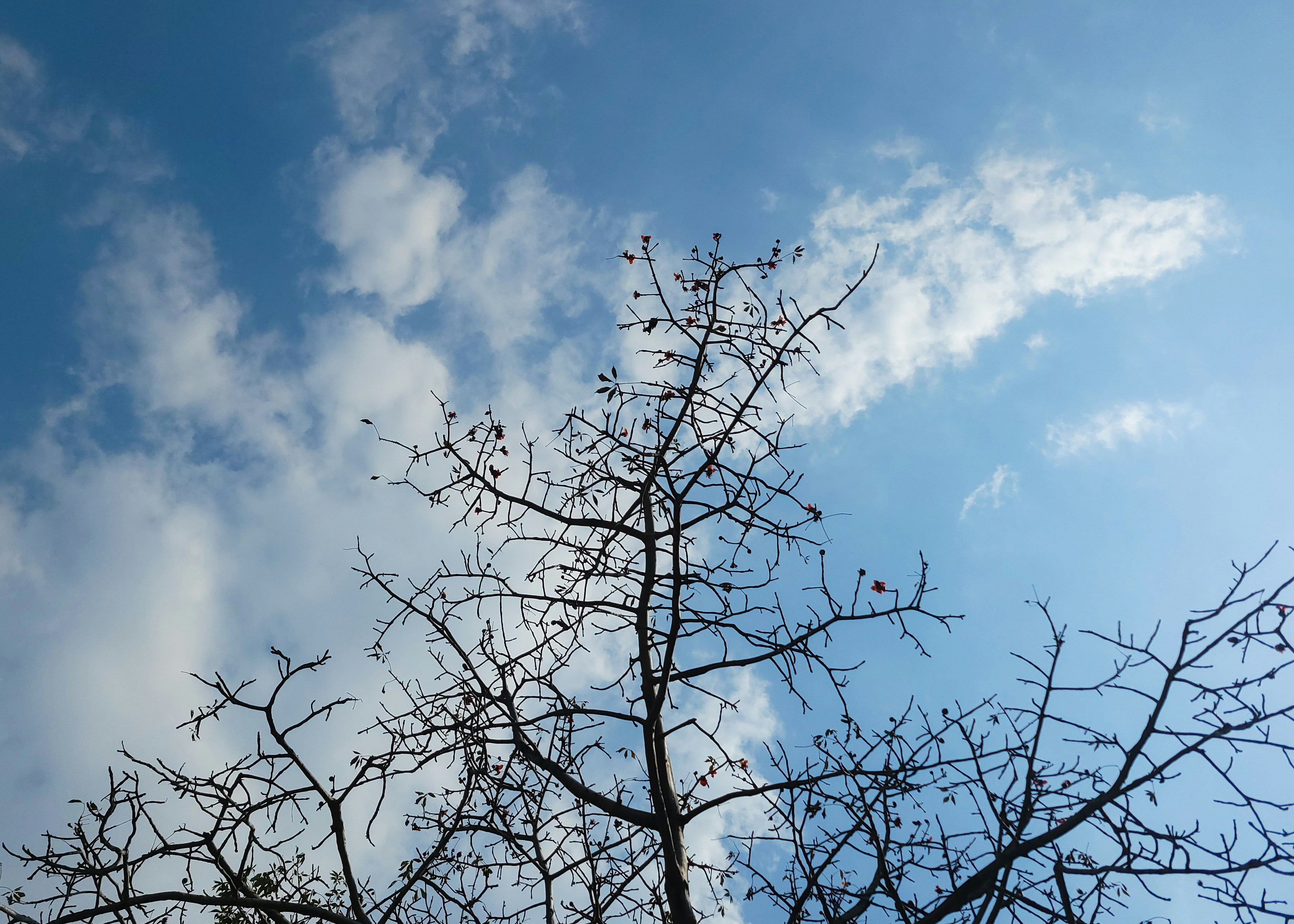 Photo by kashishh_54