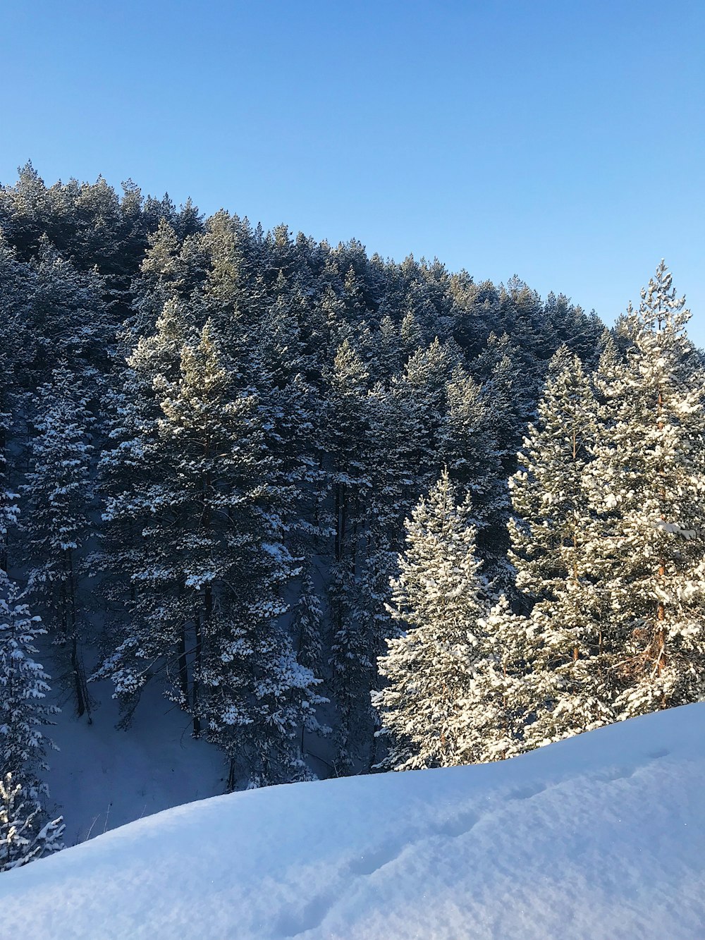 a person riding skis on top of a snow covered slope