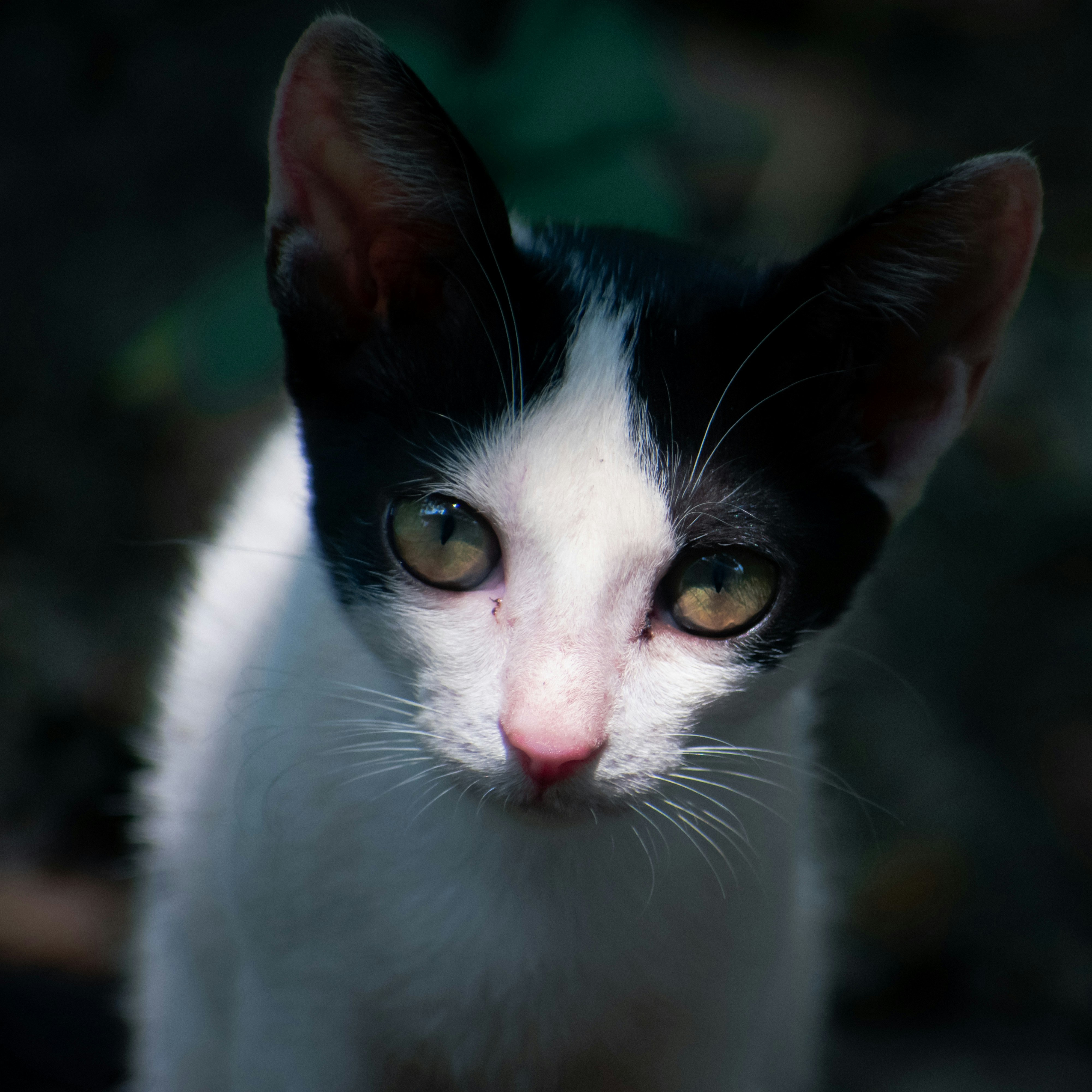 Photo by martinphotography