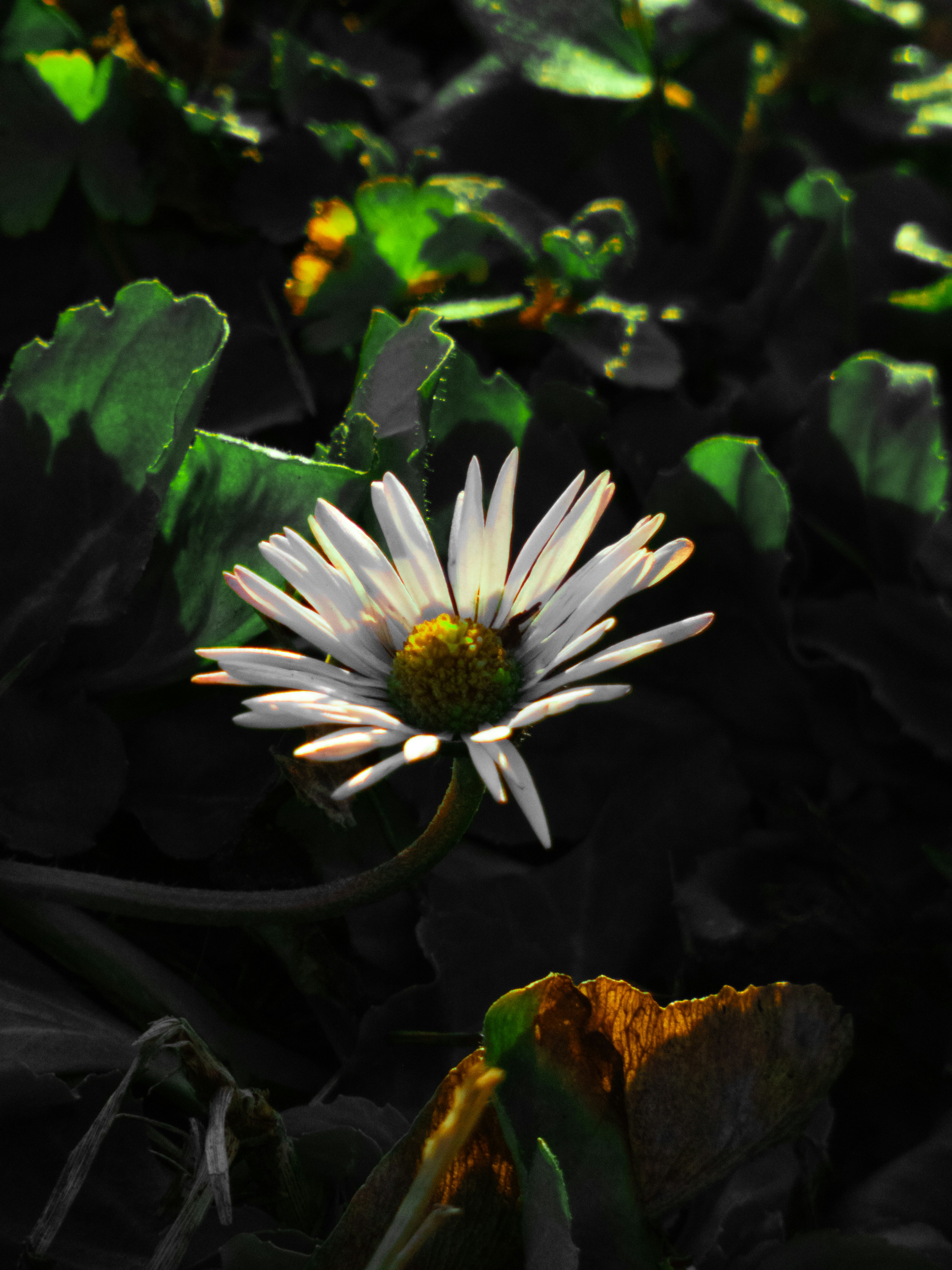 Photo by justmeandcamera