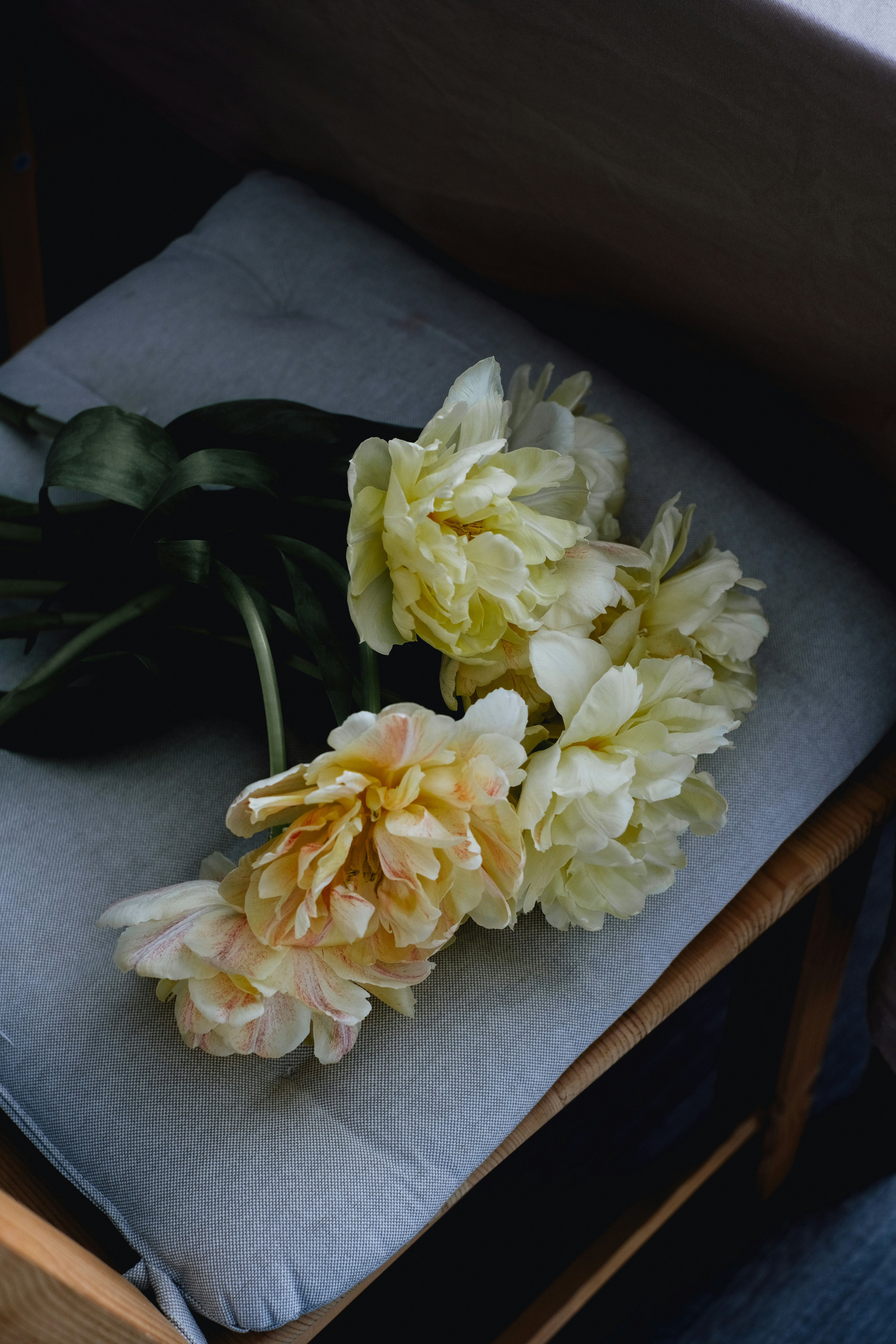 a bunch of flowers sitting on top of a chair