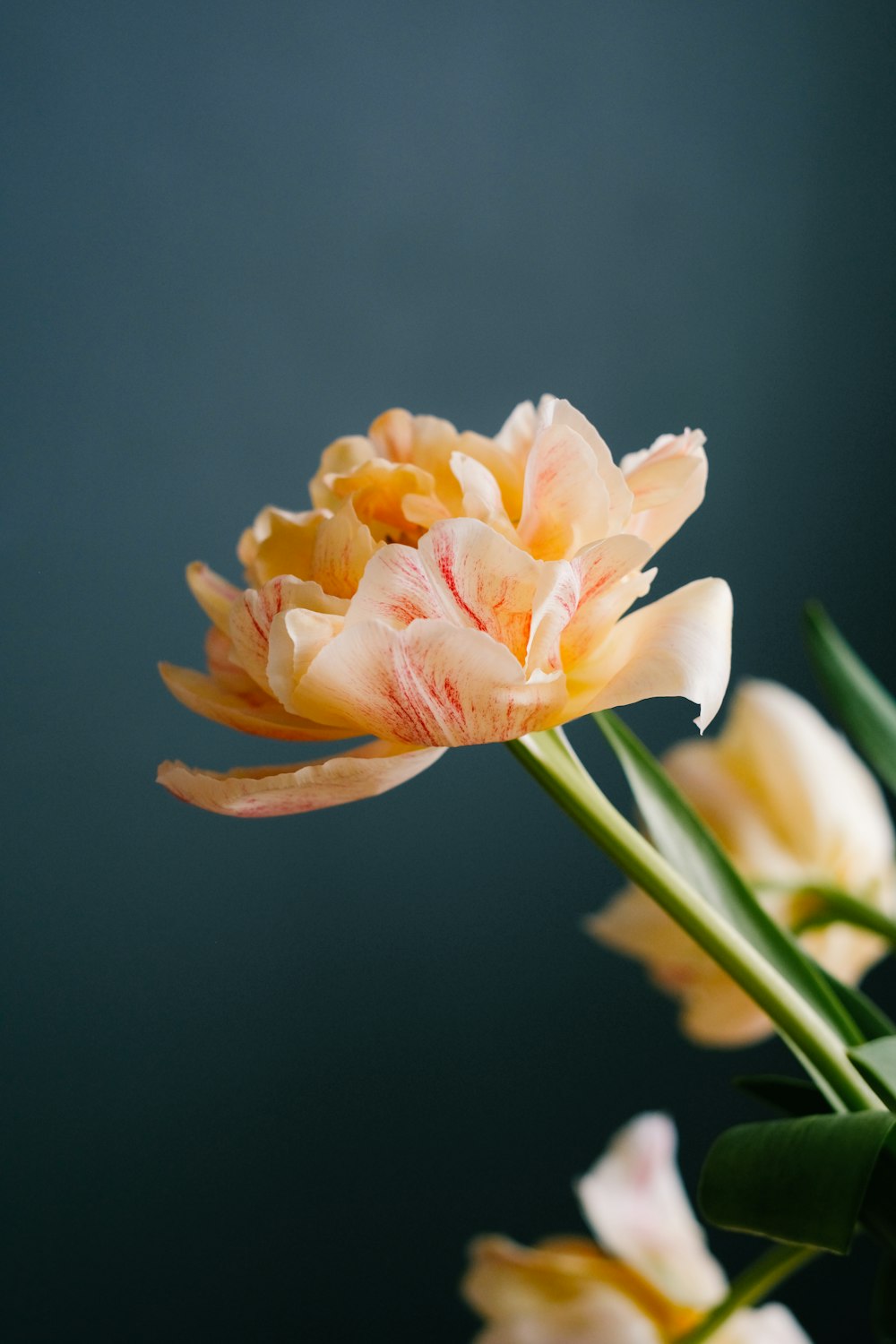 a vase filled with yellow and pink flowers