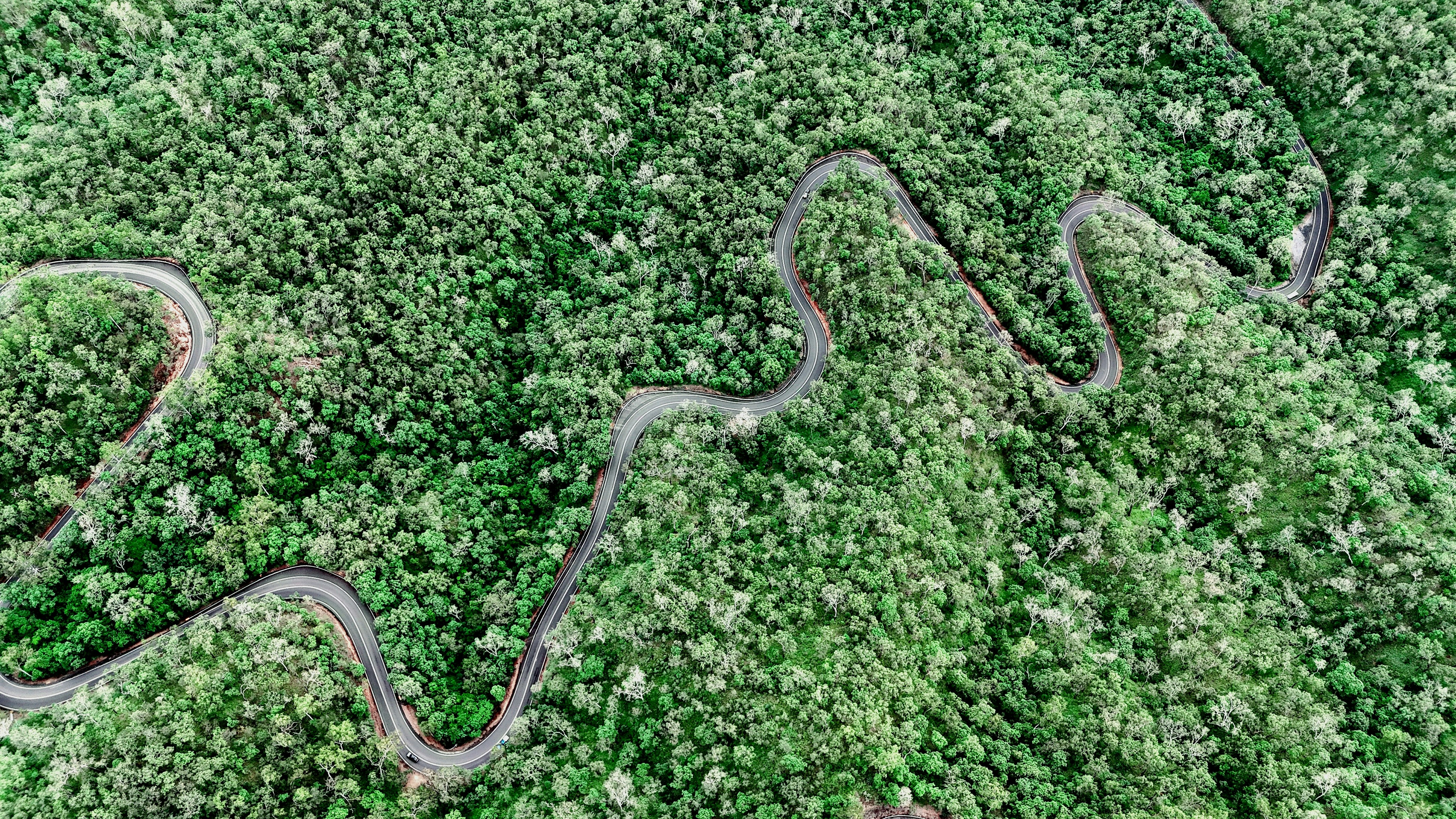 Photo by belong_in_aus