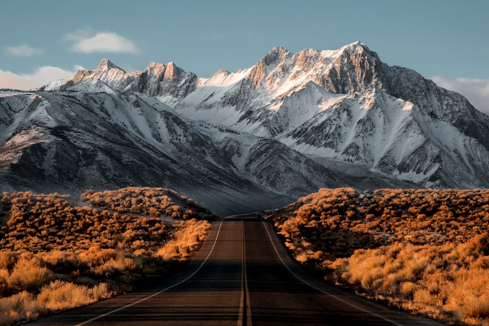 a road with a mountain in the background