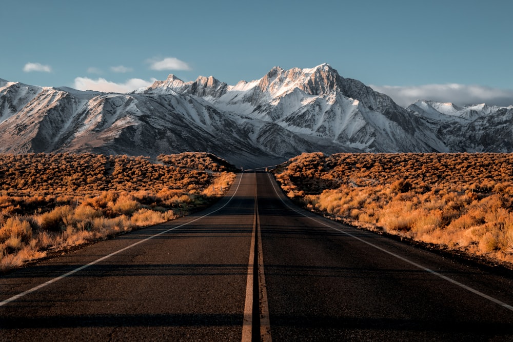 an empty road with mountains in the background