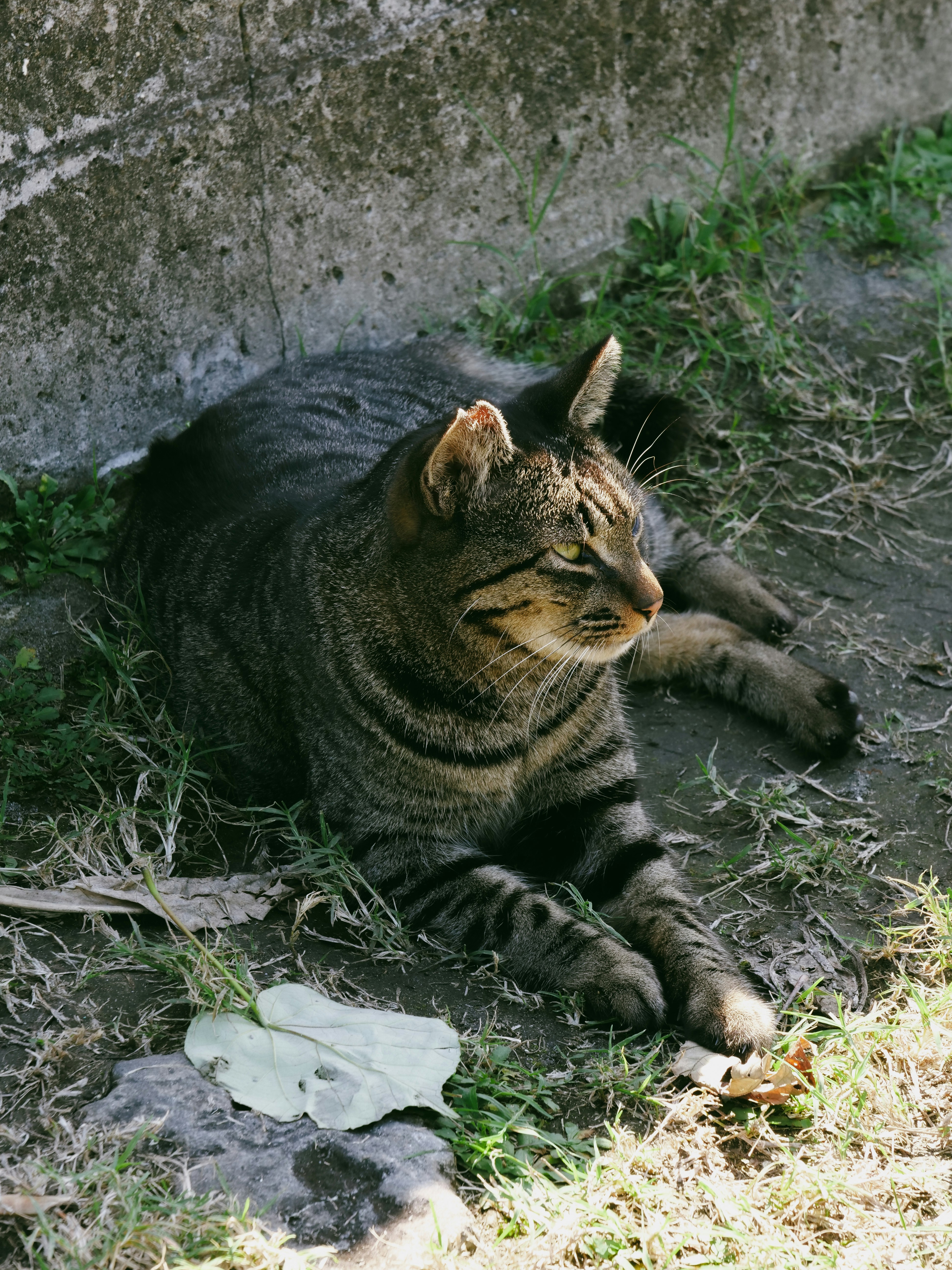 Photo by greendinosaur_com