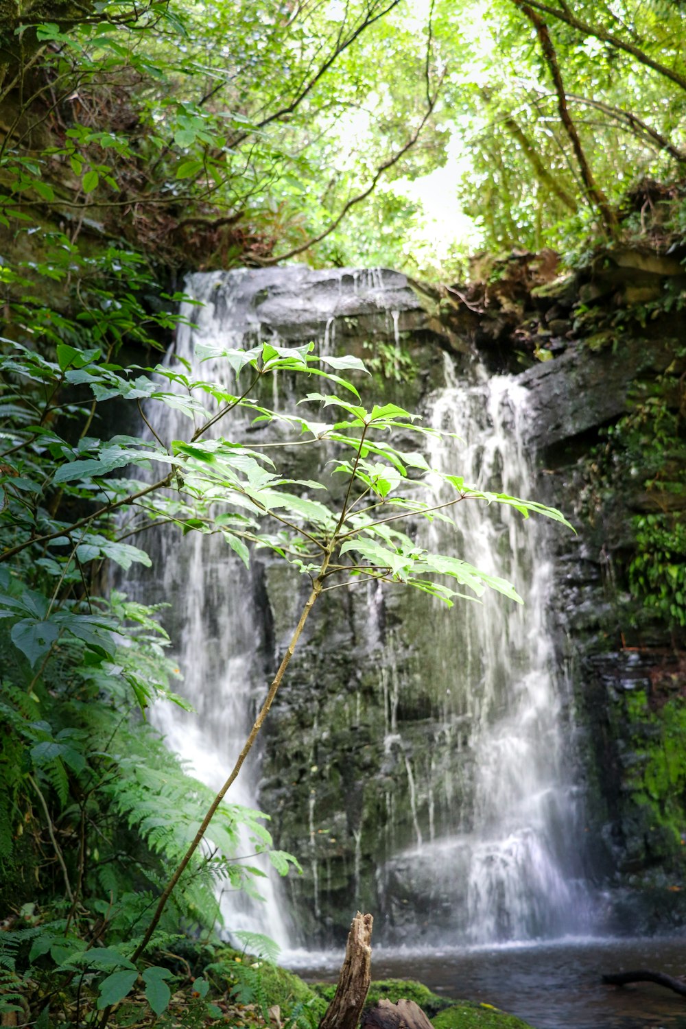 a small waterfall in the middle of a forest