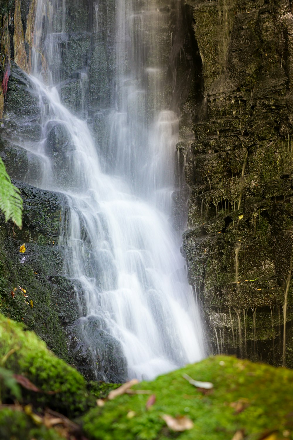 a waterfall with moss growing on the rocks