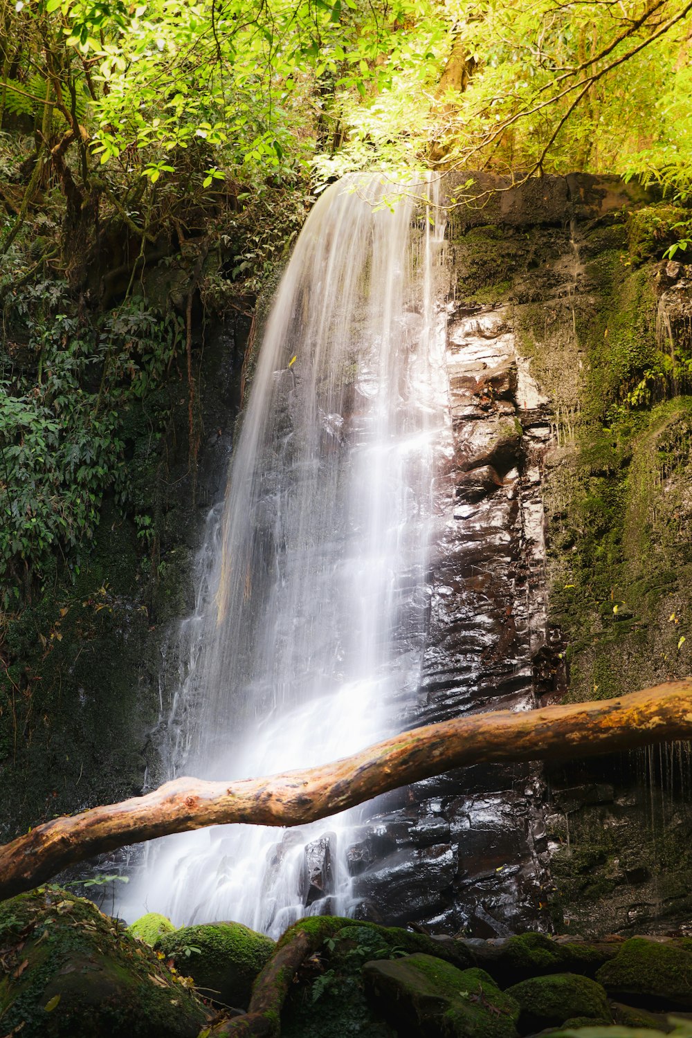 a waterfall with a fallen log in the foreground