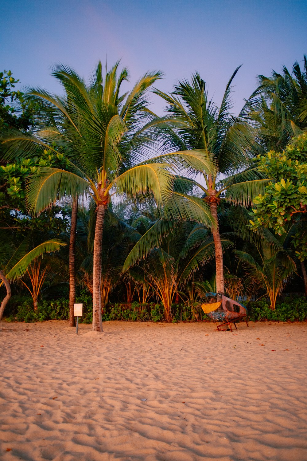 a man sitting on a bench under palm trees
