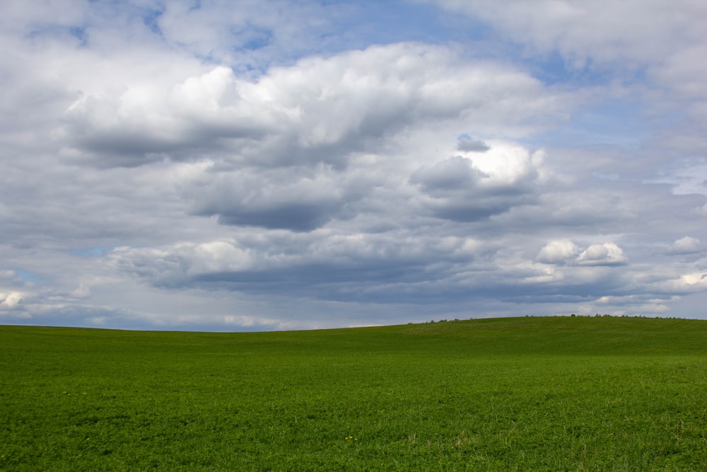 a field of green grass under a cloudy sky