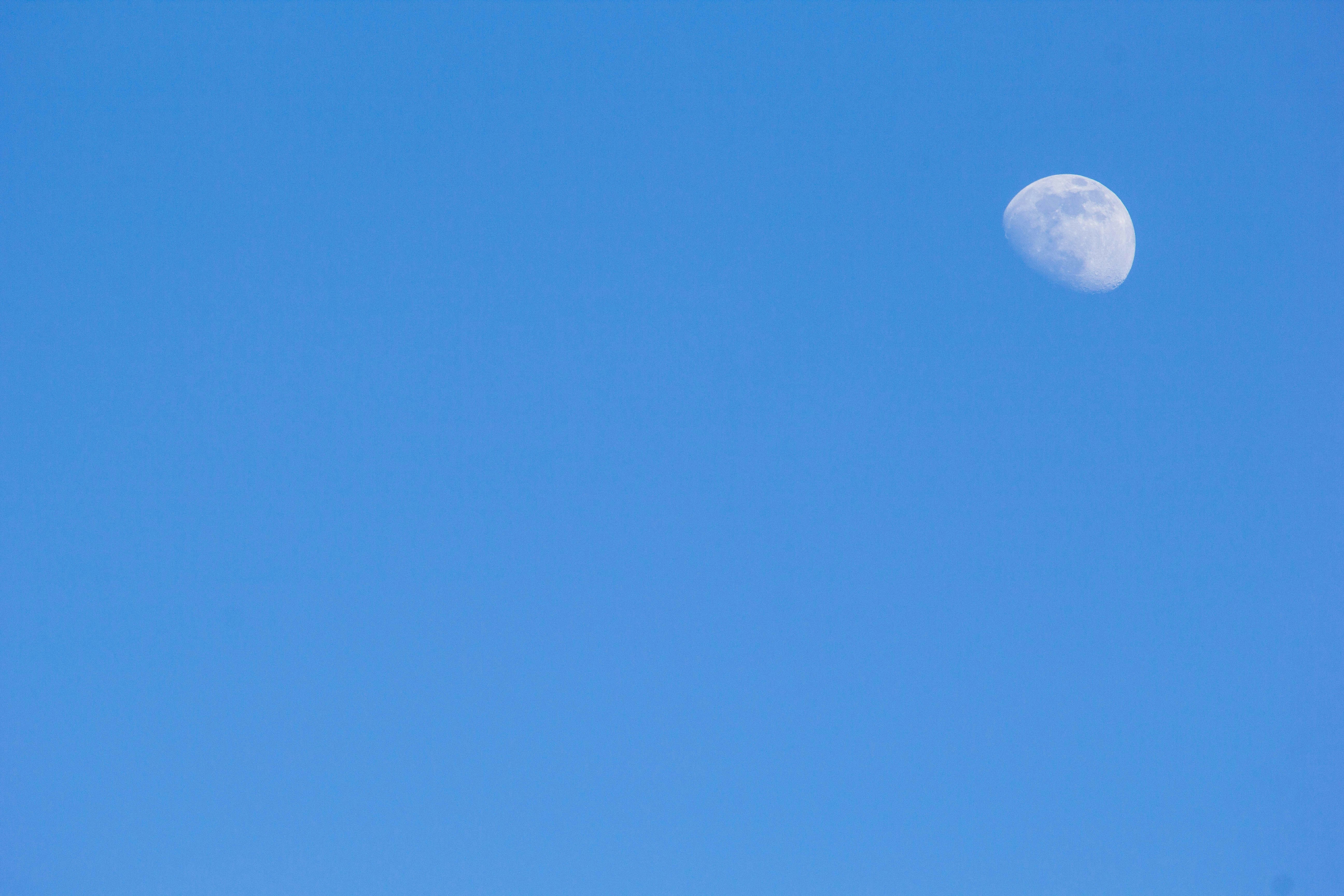 Photo by marina_davzhenok