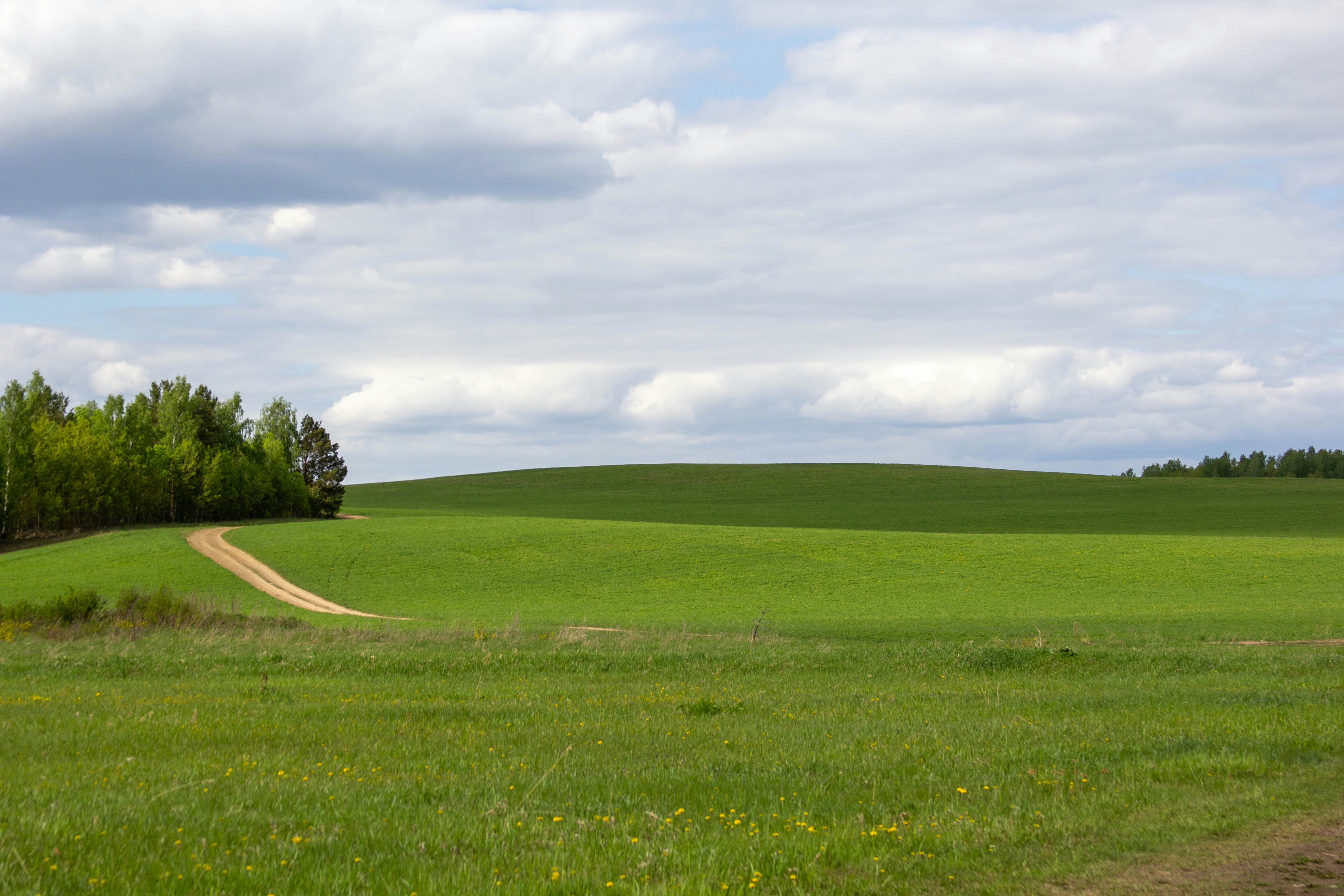 Photo by marina_davzhenok