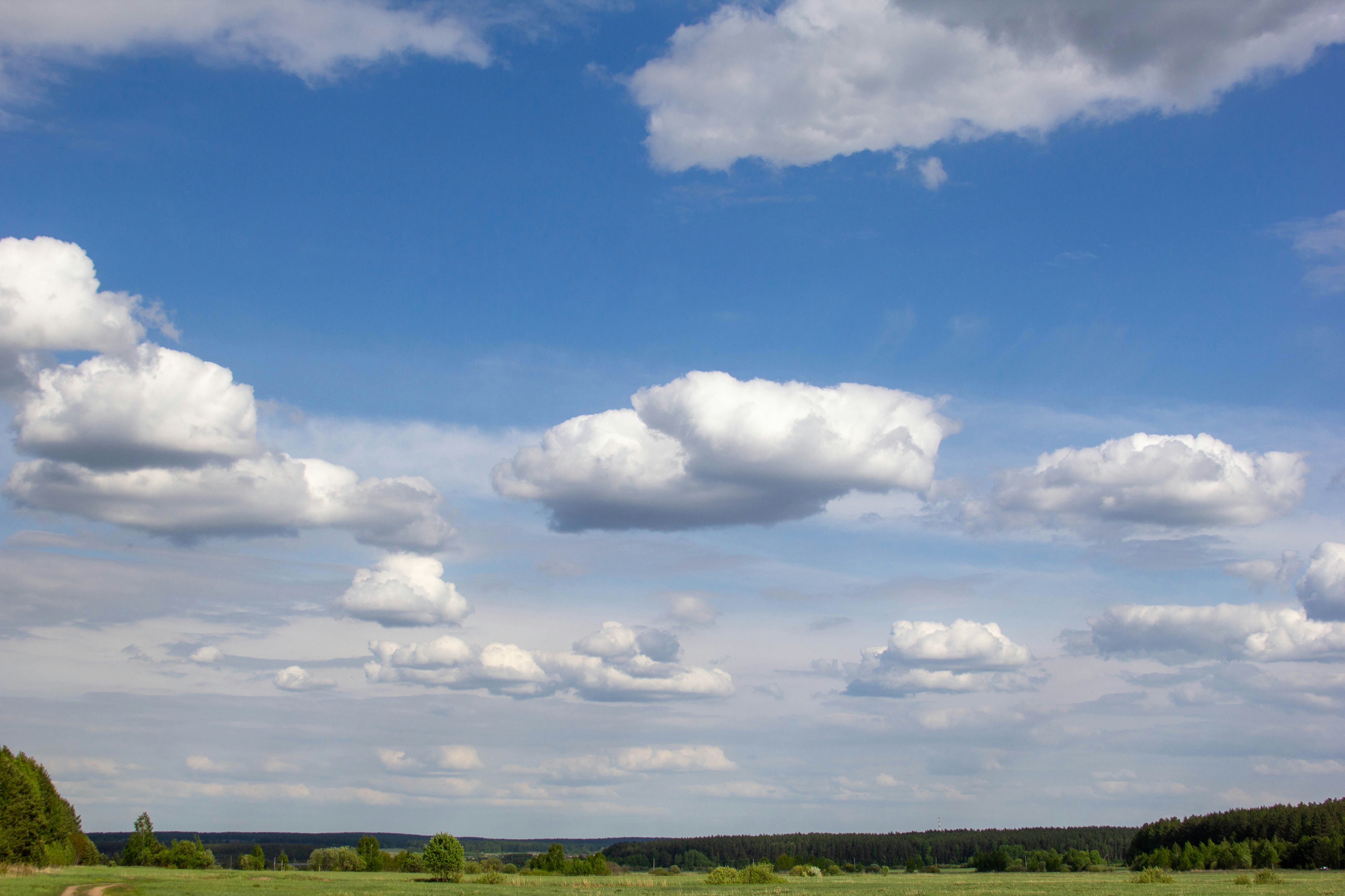 Photo by marina_davzhenok