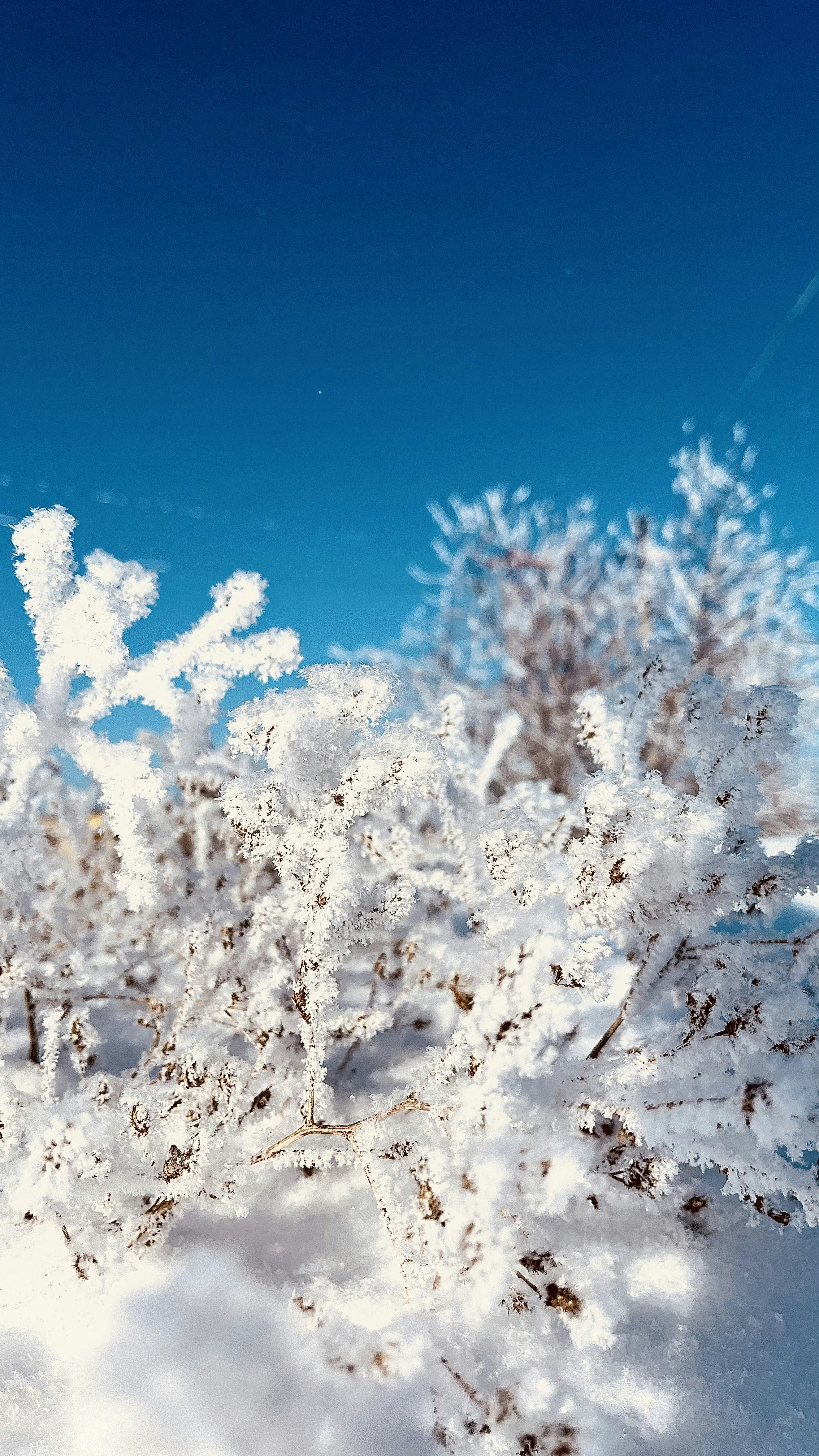 Photo by katrin_bloom