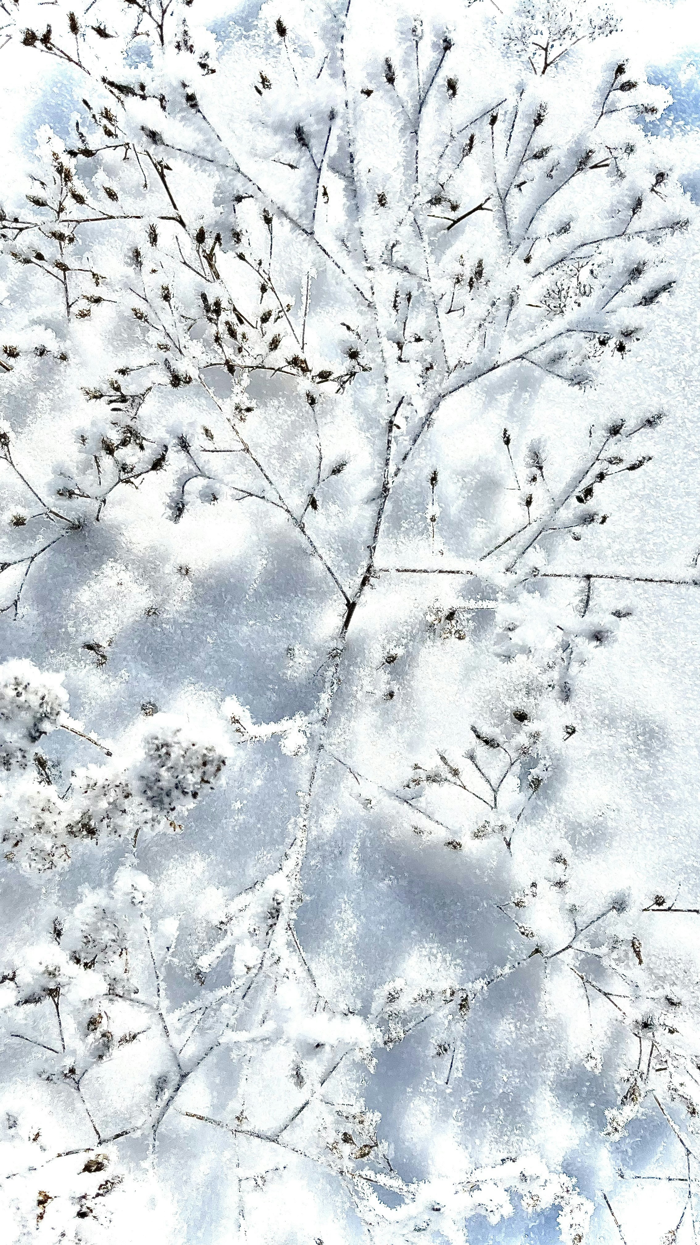 Photo by katrin_bloom