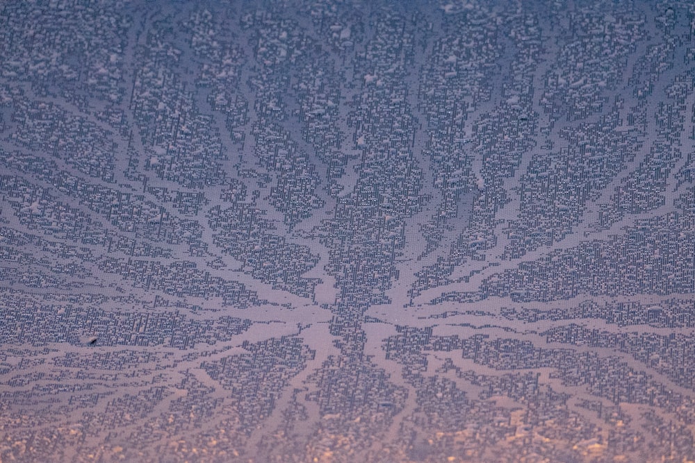 a close up of a frosted window with a tree on it