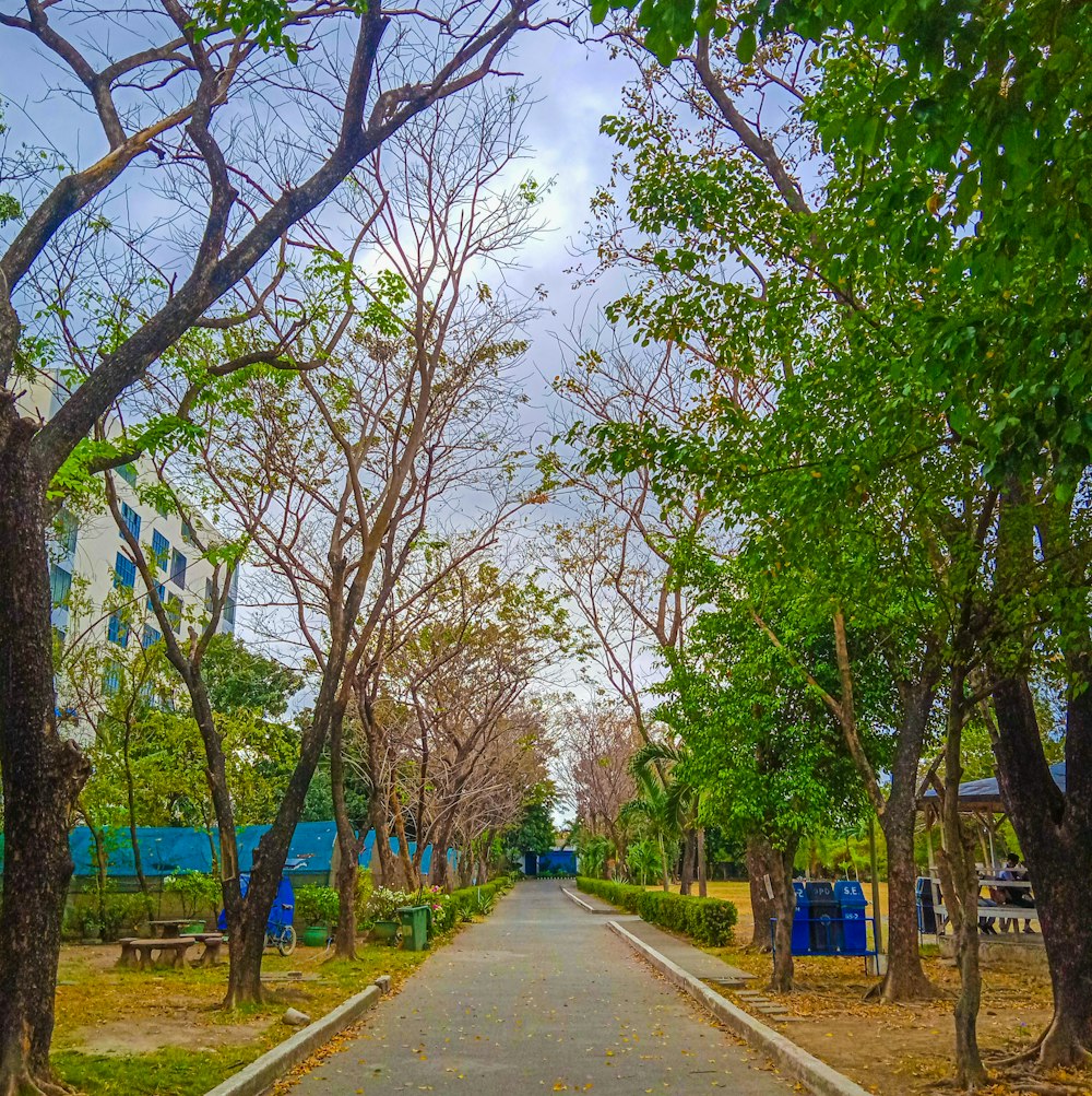 an empty road surrounded by trees and trash cans