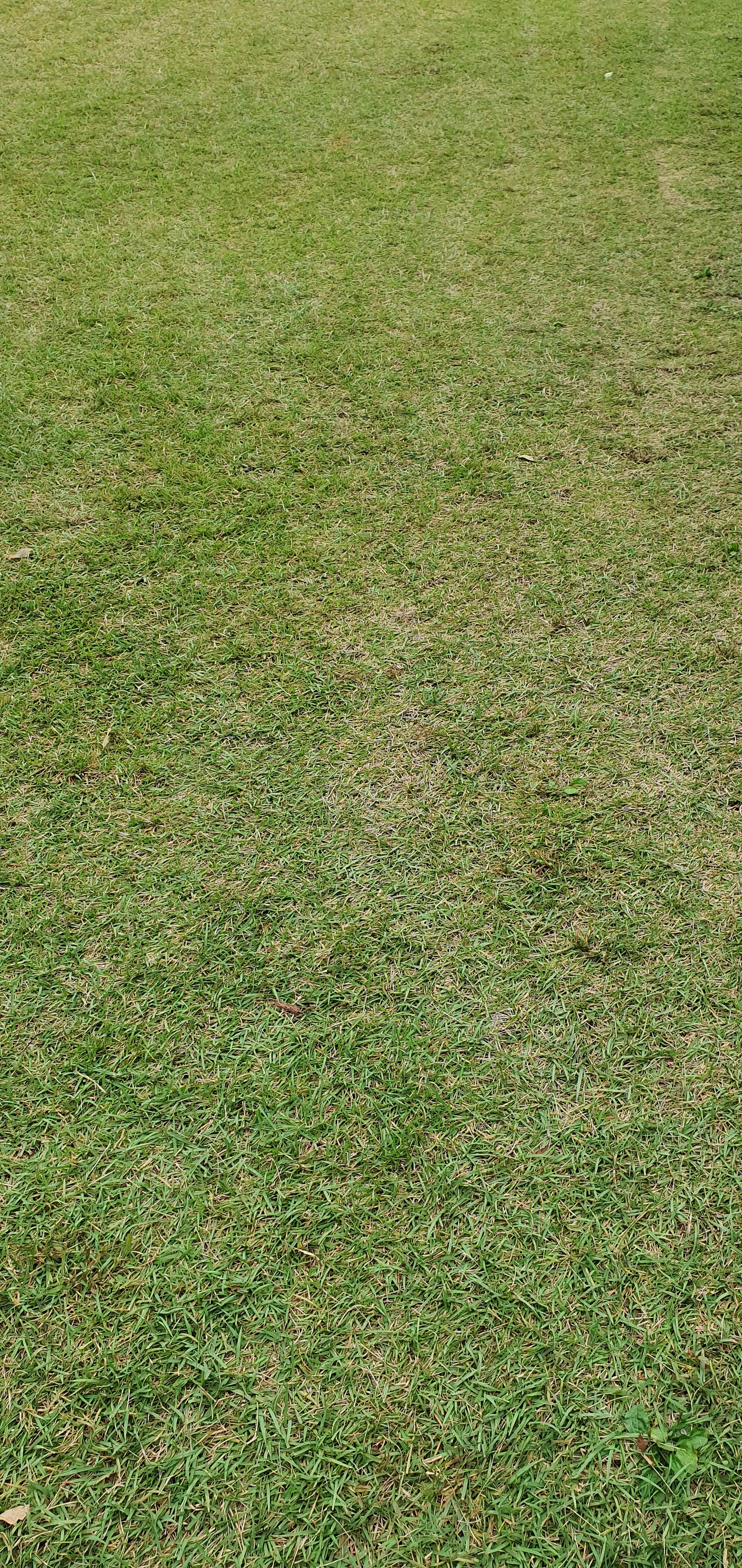 Photo by seonghunjeong