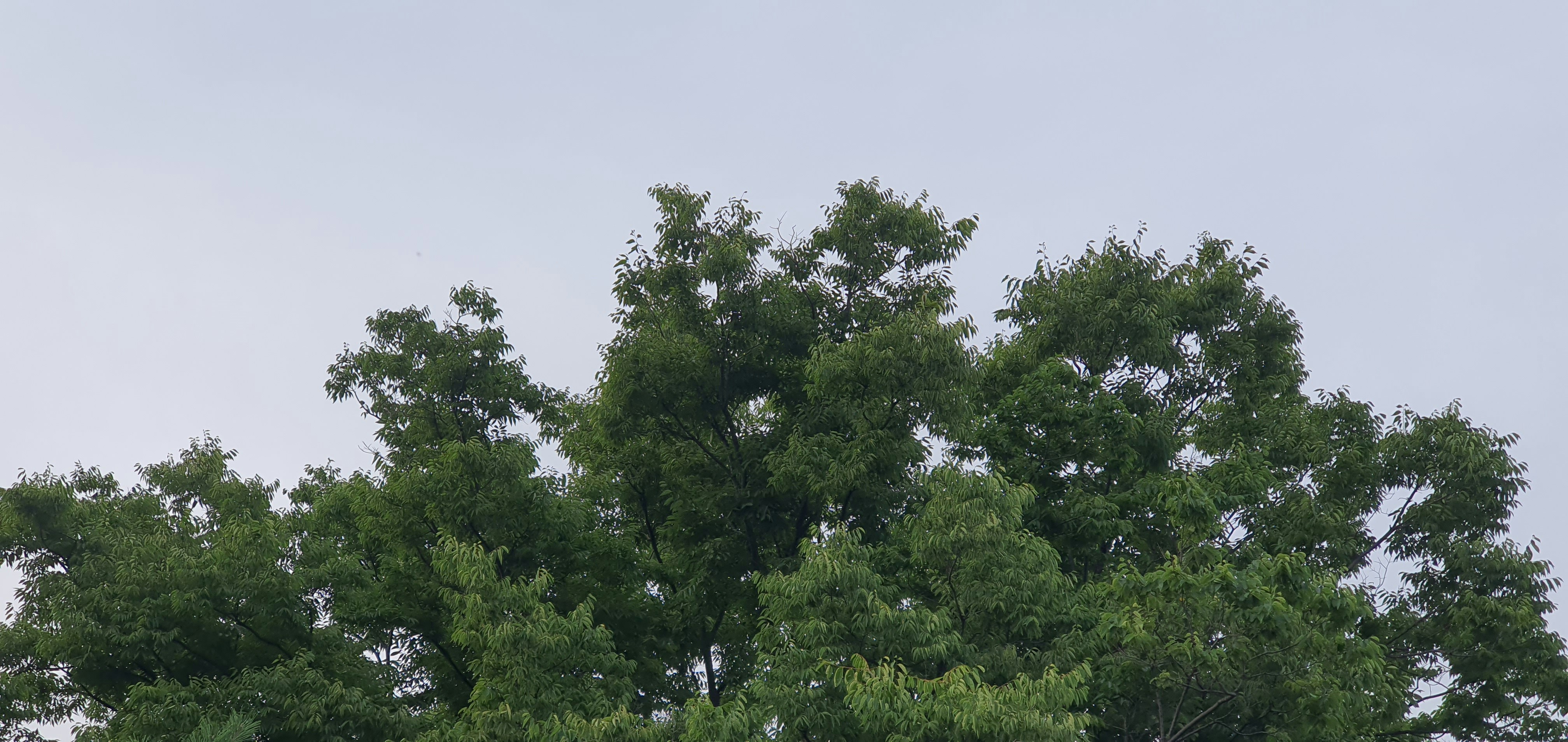 Photo by seonghunjeong