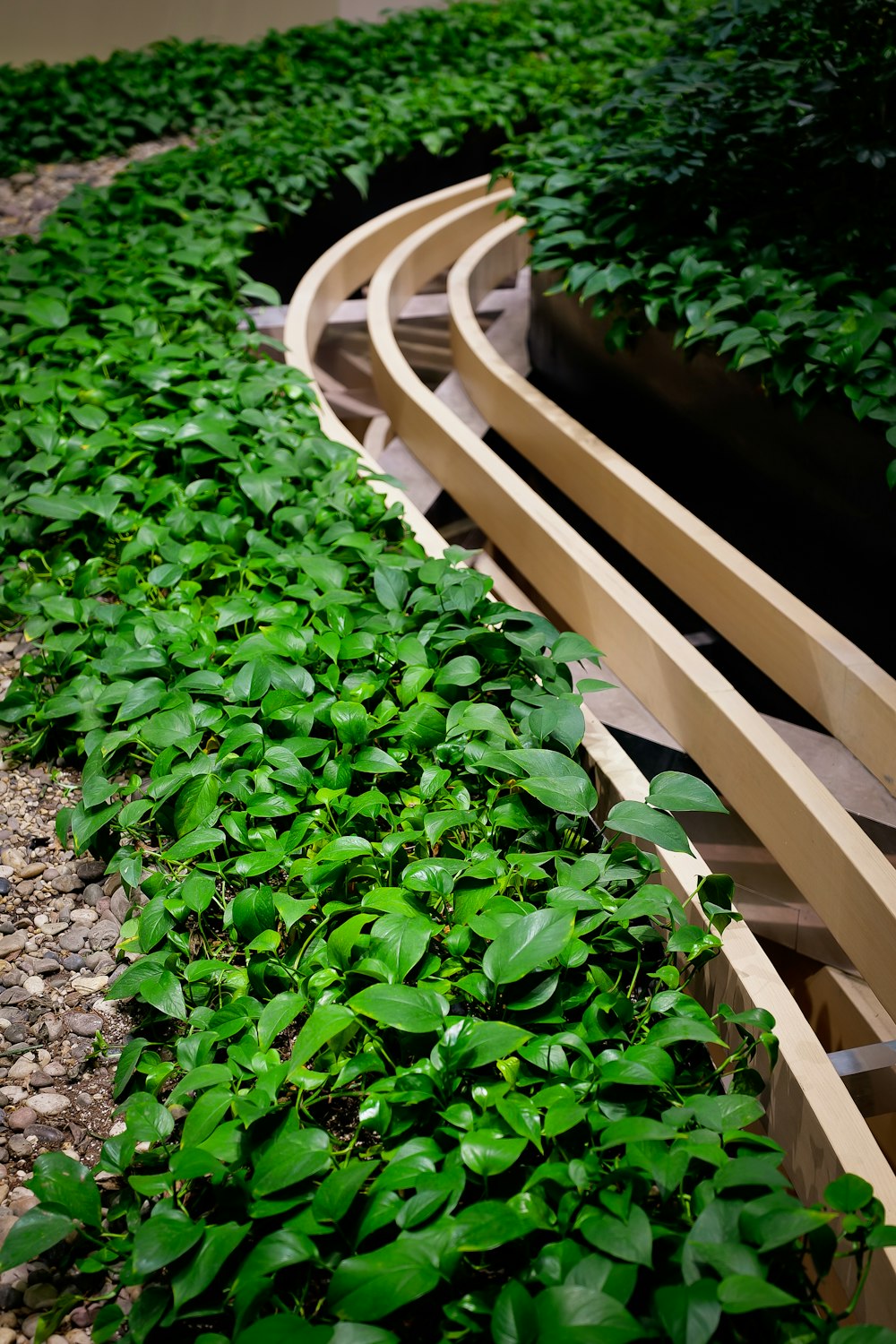 a train track running through a lush green field