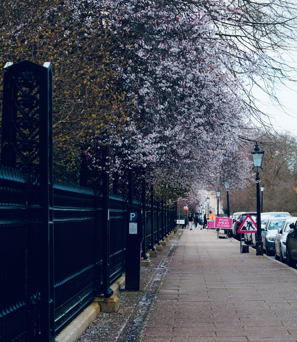 a sidewalk lined with parked cars next to a tree