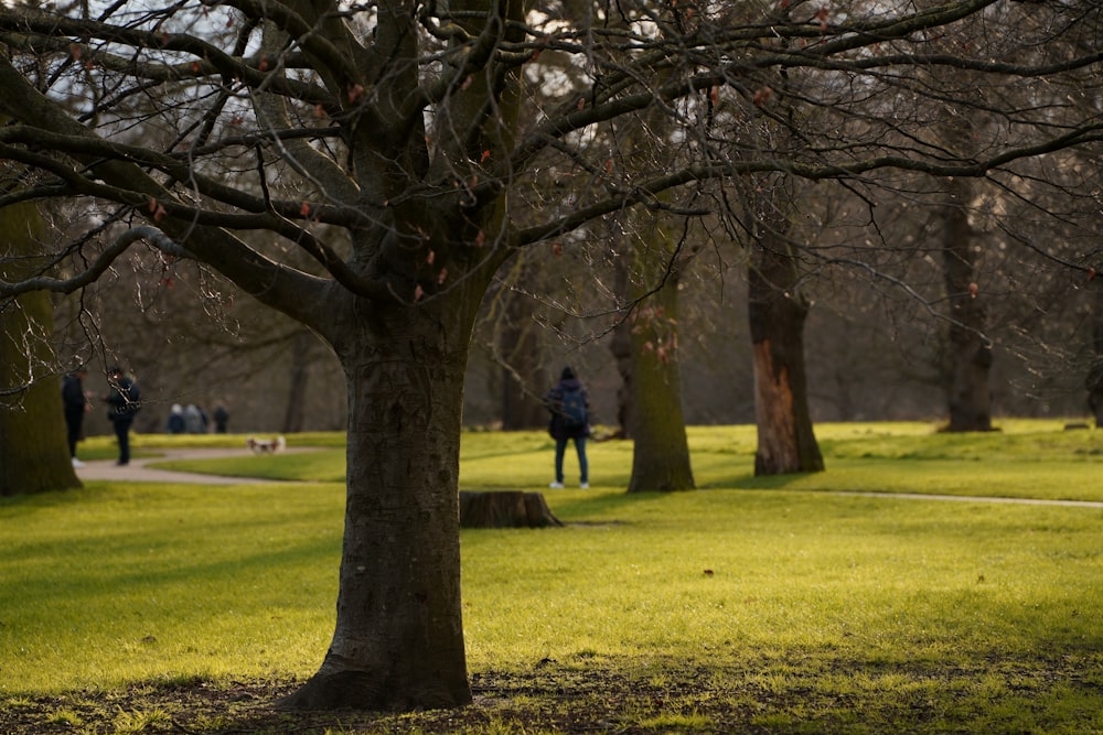 a group of people walking through a park