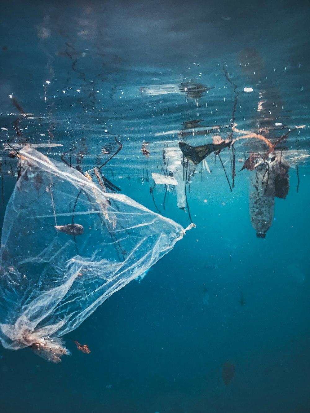 a plastic bag floating on top of a body of water