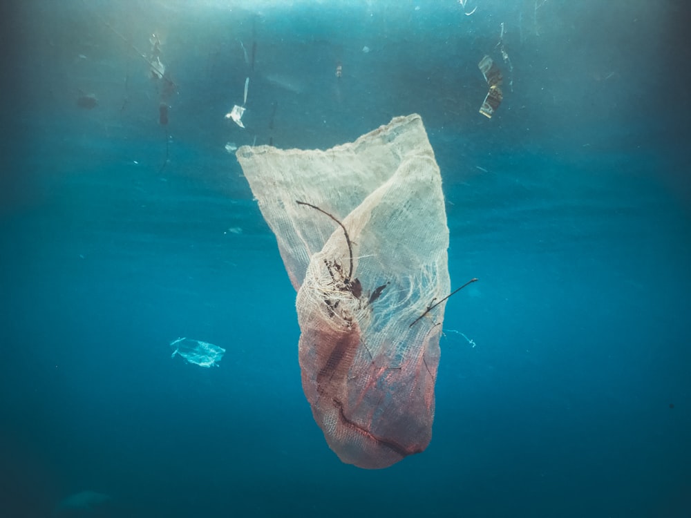 a plastic bag floating in the water