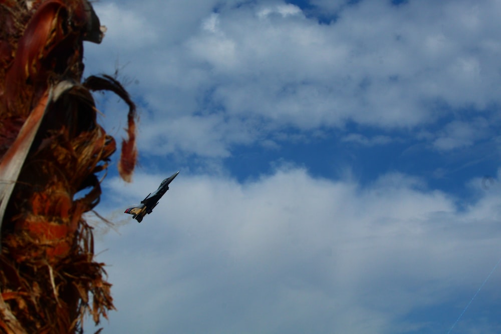 a bird flying through a cloudy blue sky