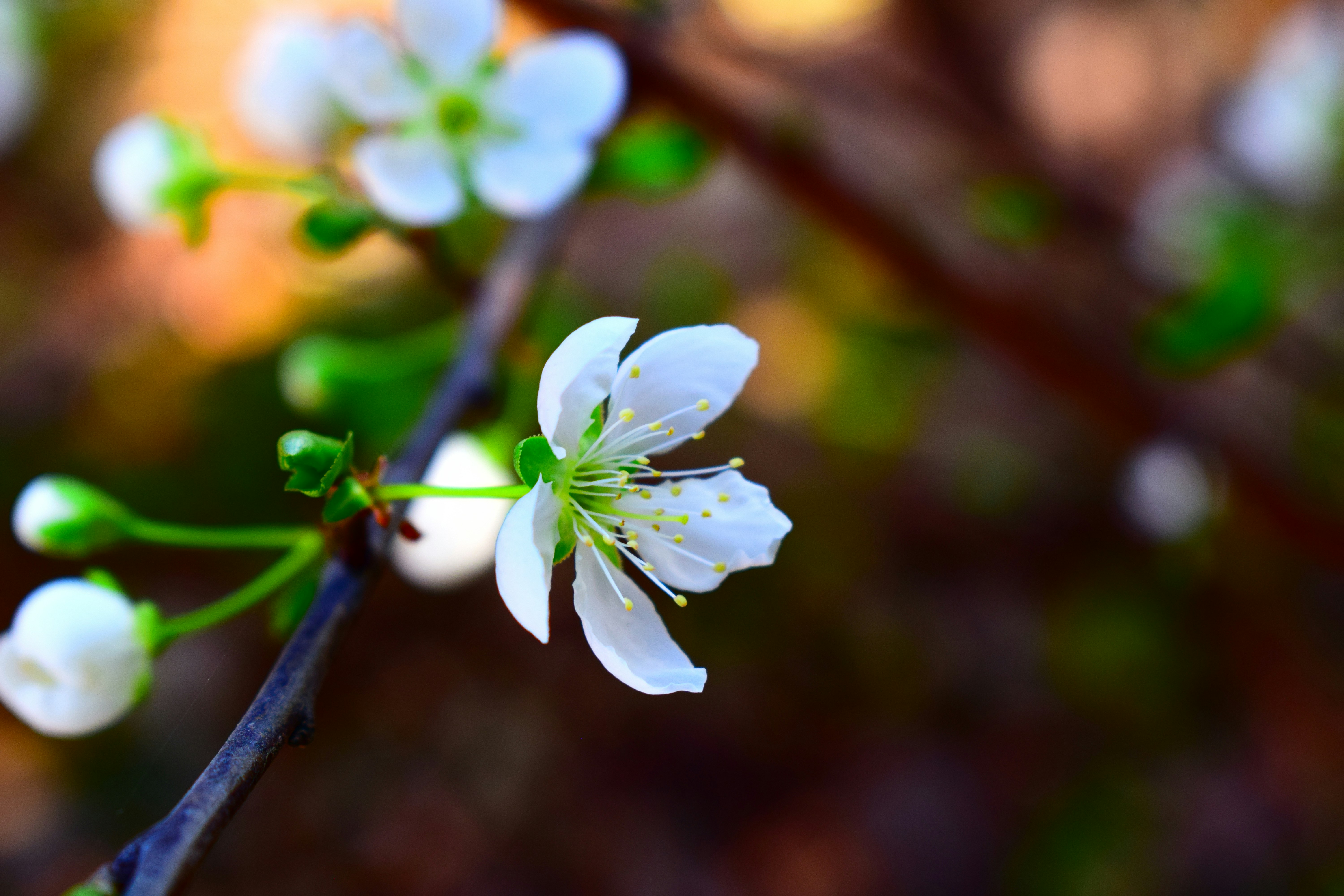 Photo by iu_unsplash