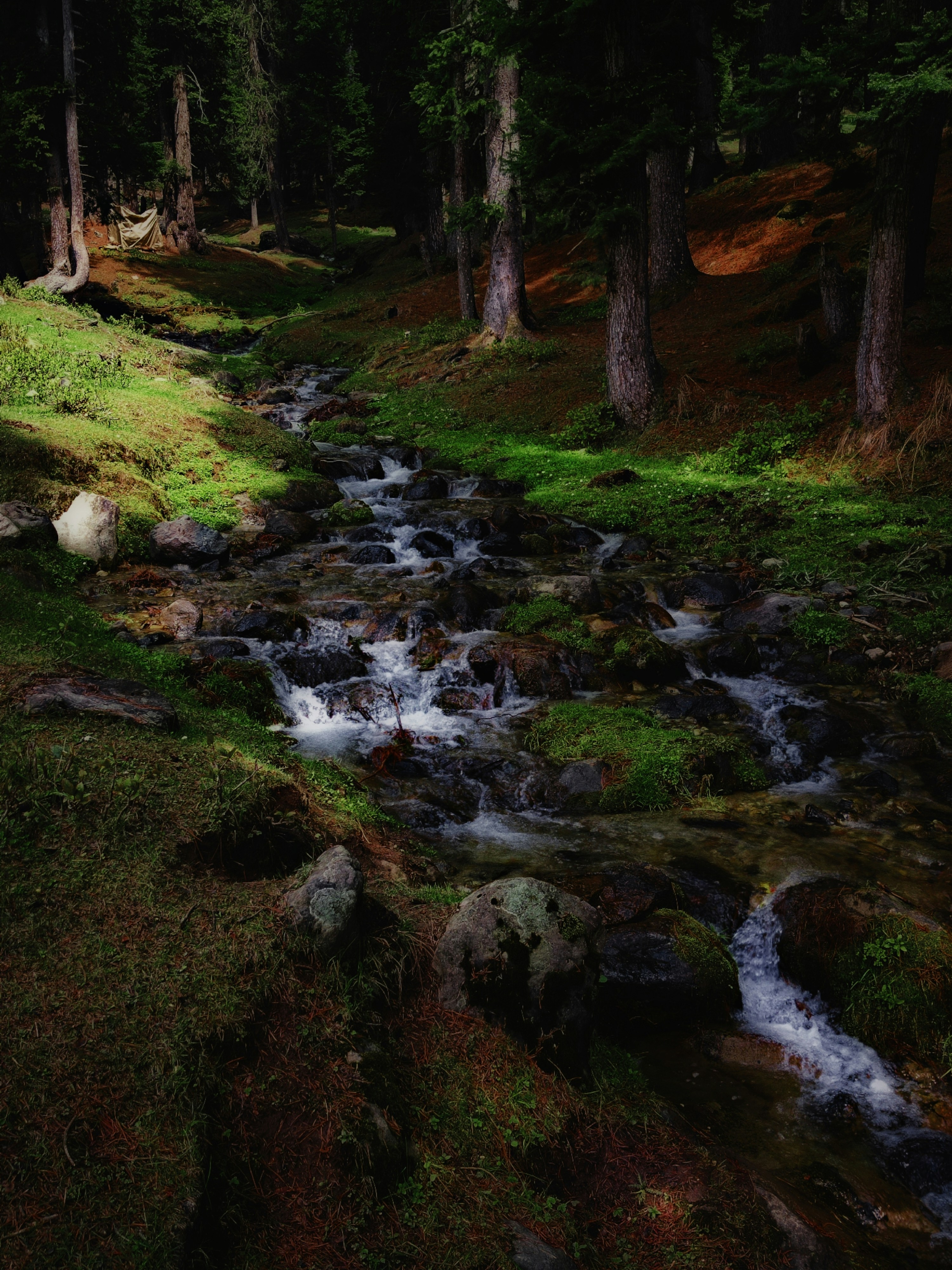 Photo by ashwednesdayyy