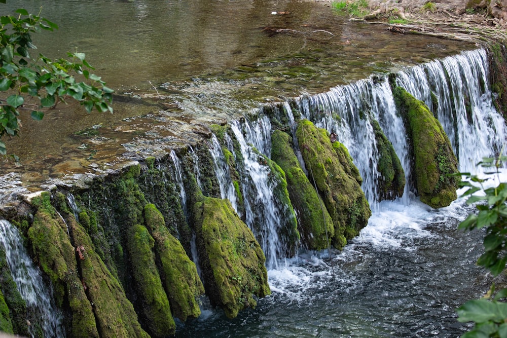 a small waterfall with moss growing on it