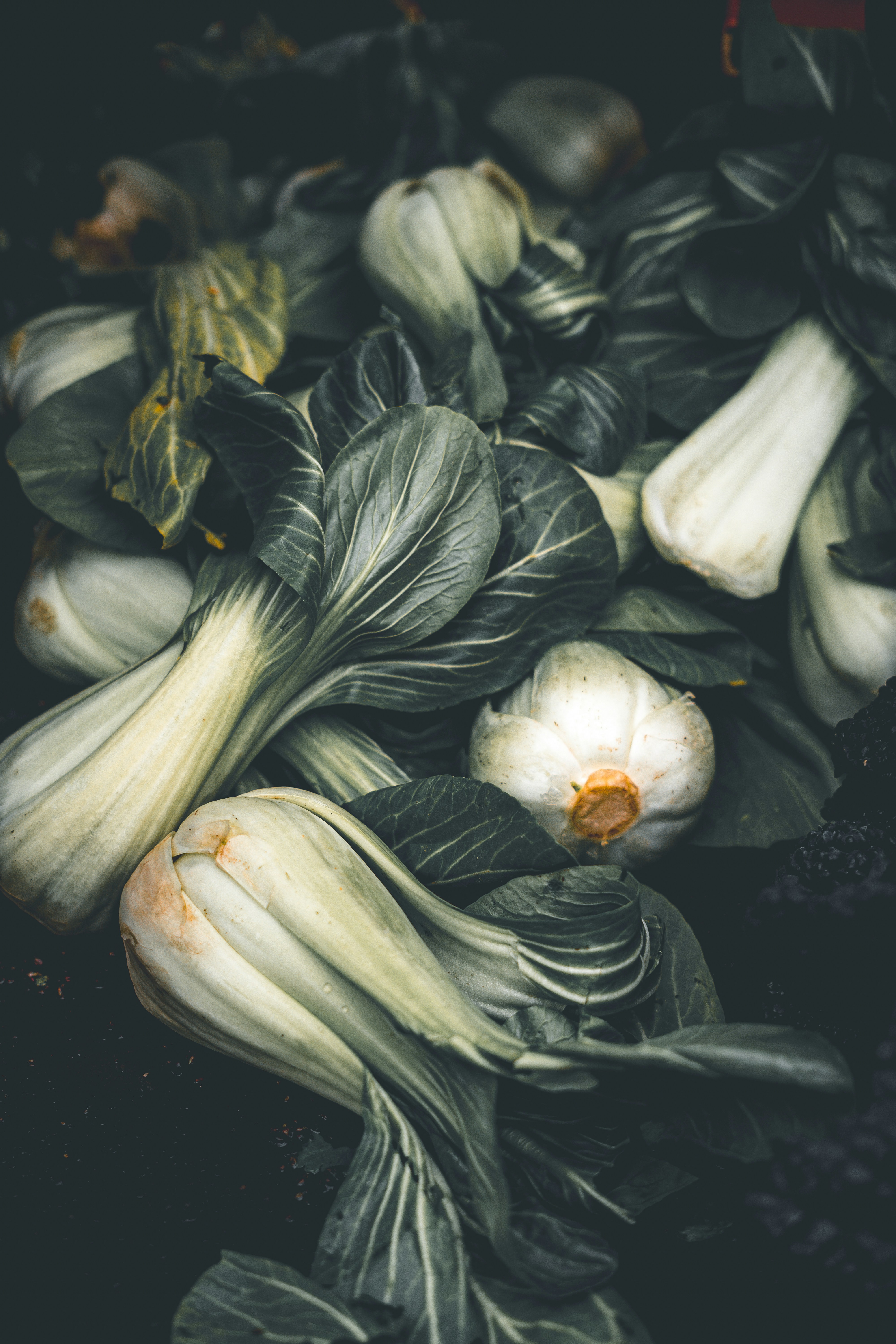 a bunch of green leaves and white flowers