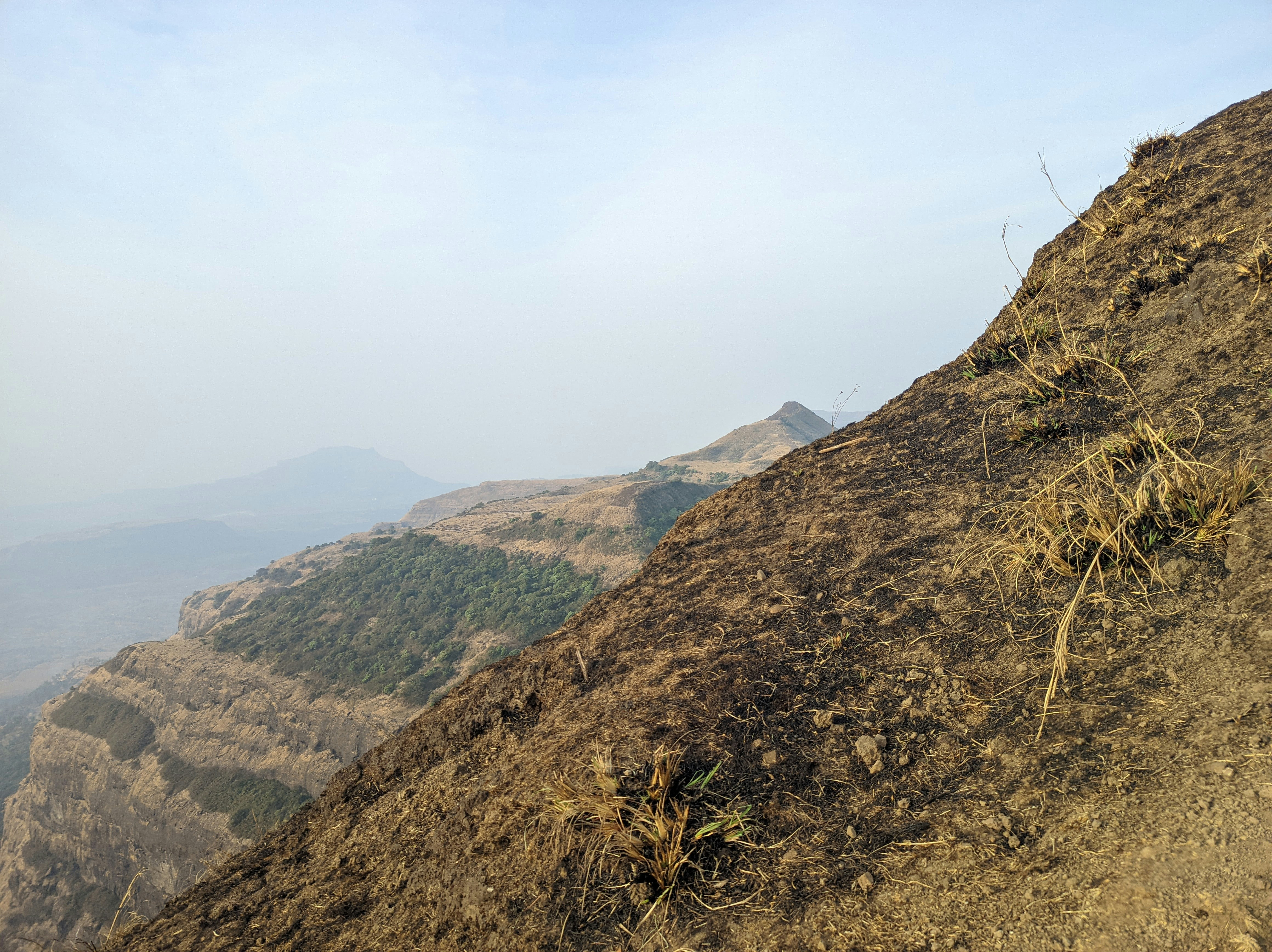 Photo by atharvakanekar22