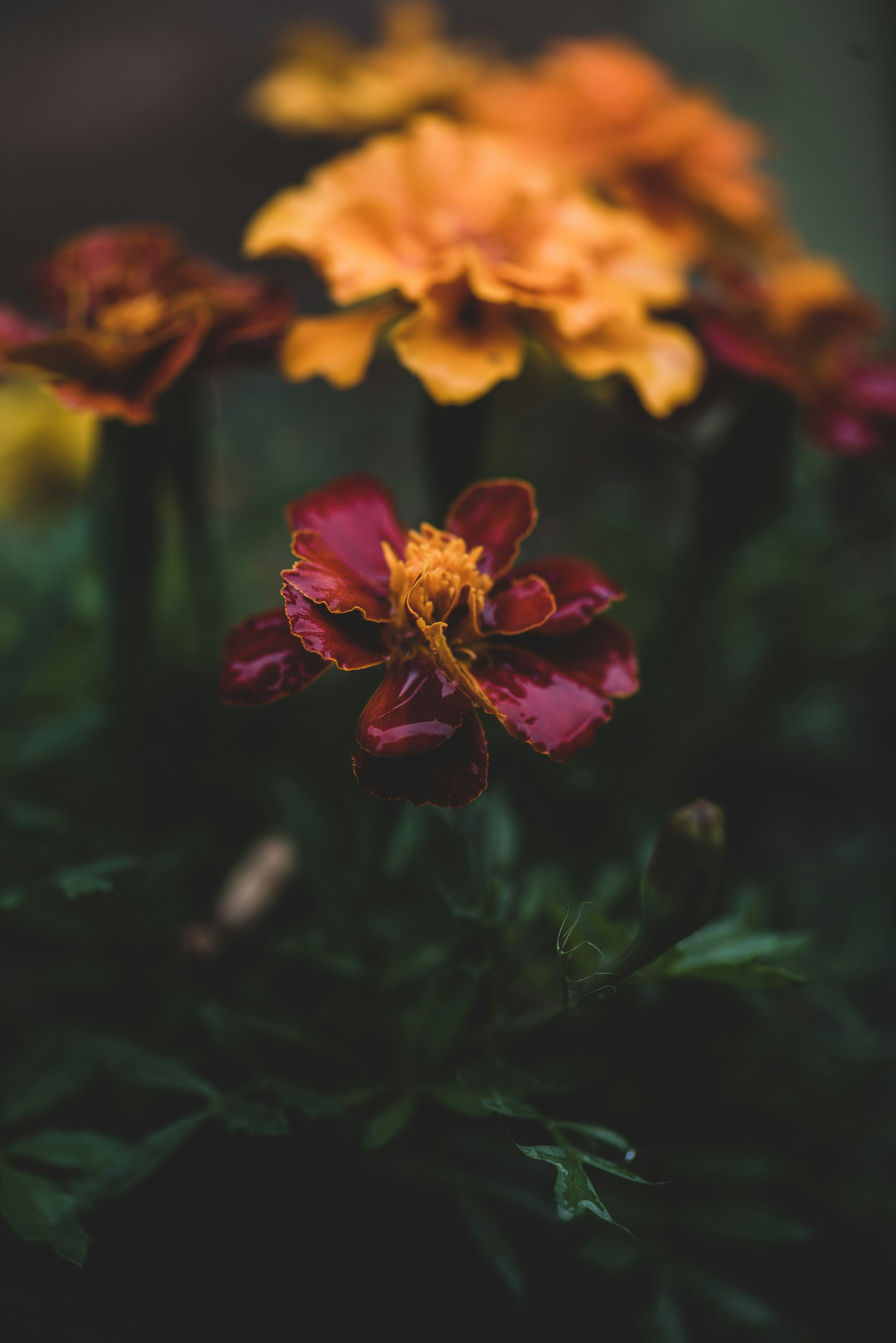 Photo by losue