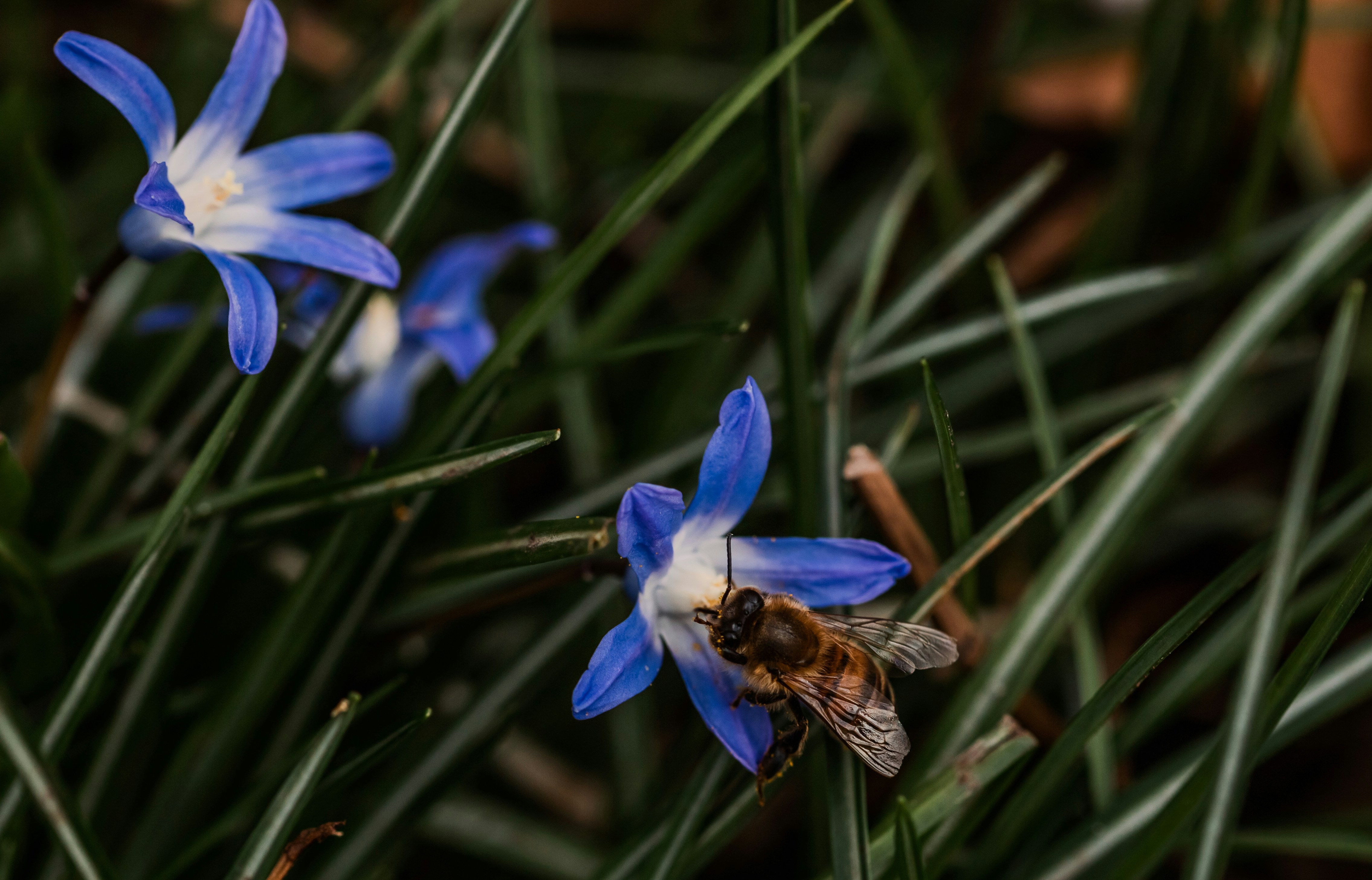 Photo by hdbernd
