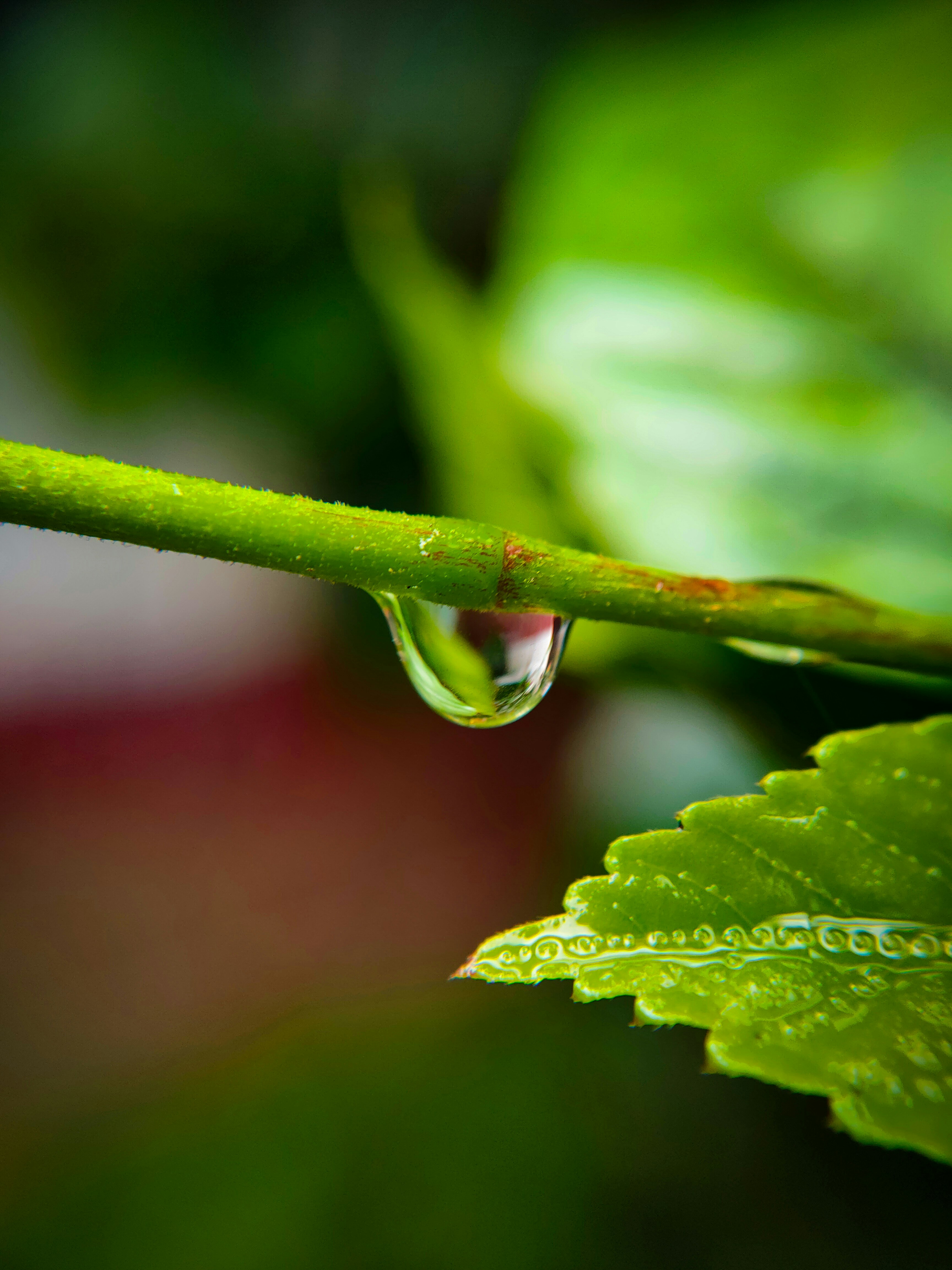 Photo by sujaypaulsp