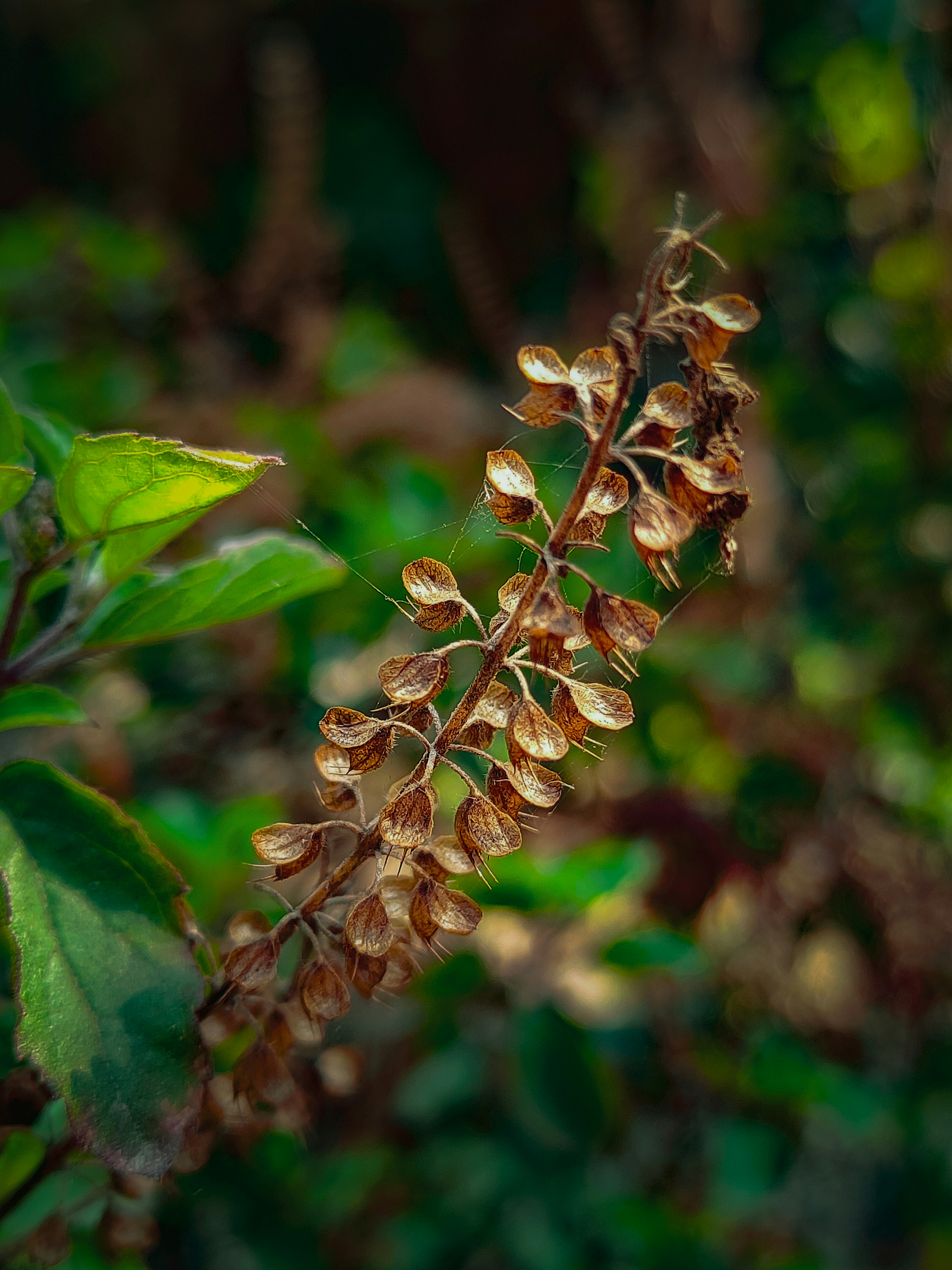 Photo by sujaypaulsp