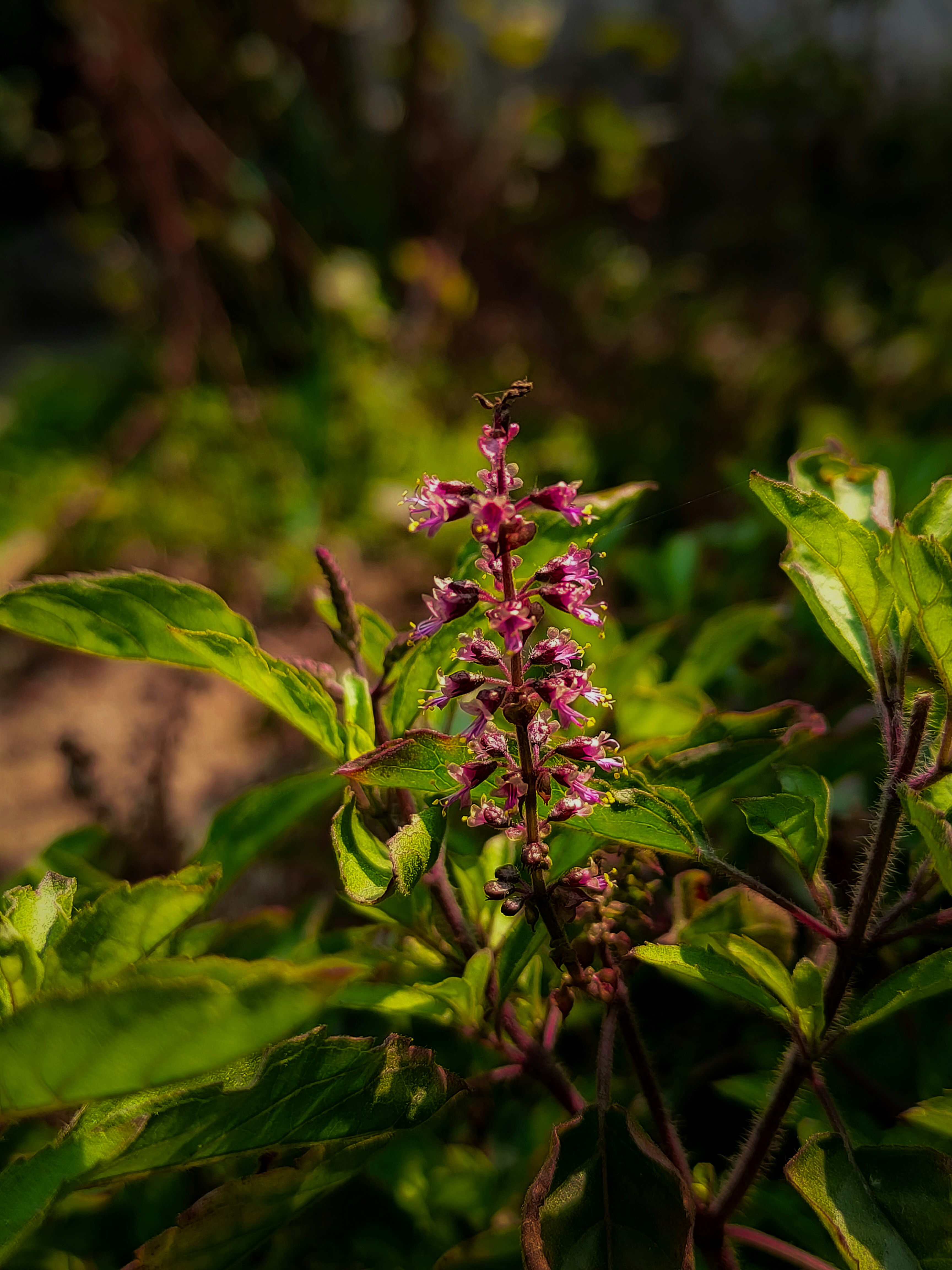 Photo by sujaypaulsp