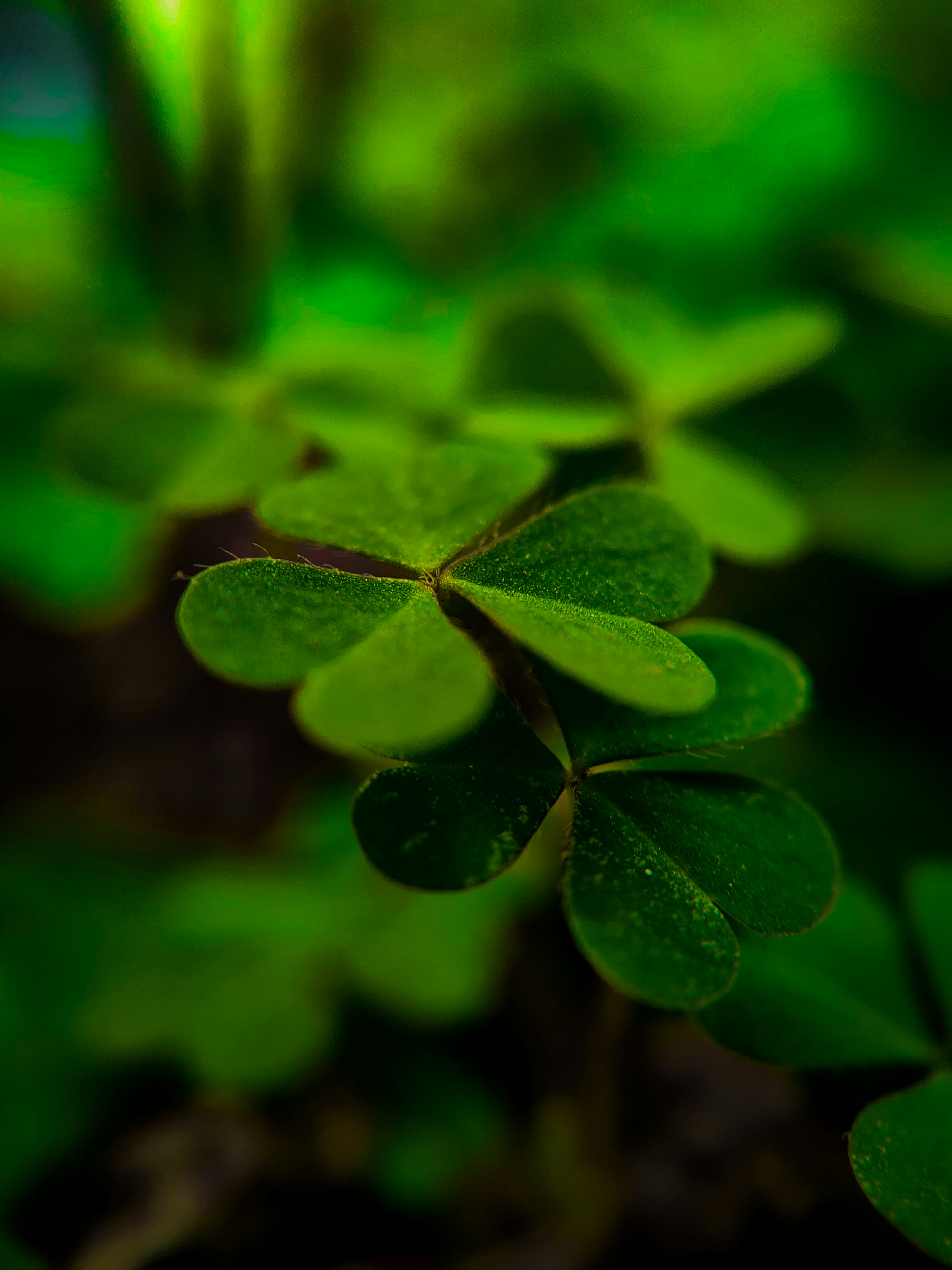 Photo by sujaypaulsp