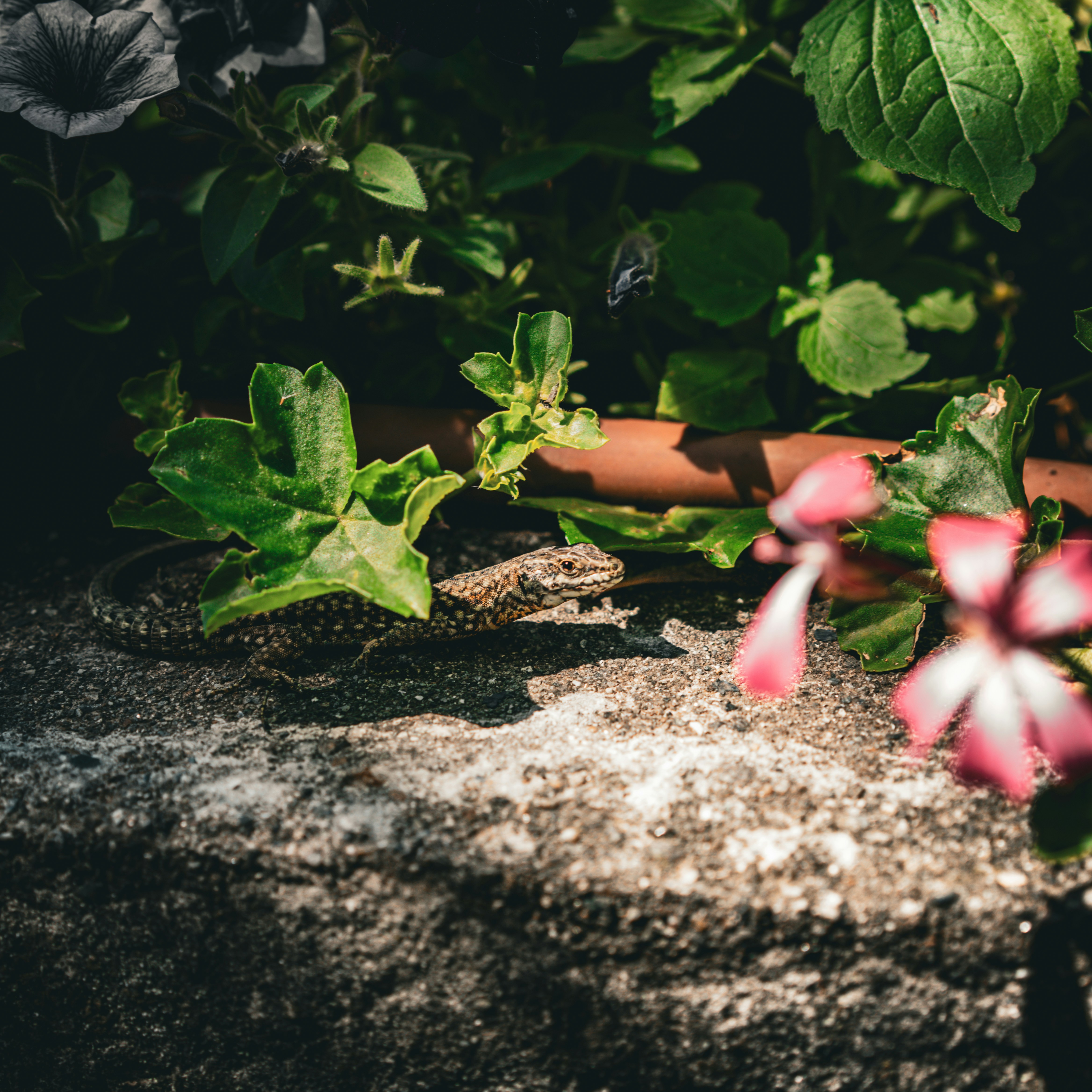 Photo by paulkennymcgrath